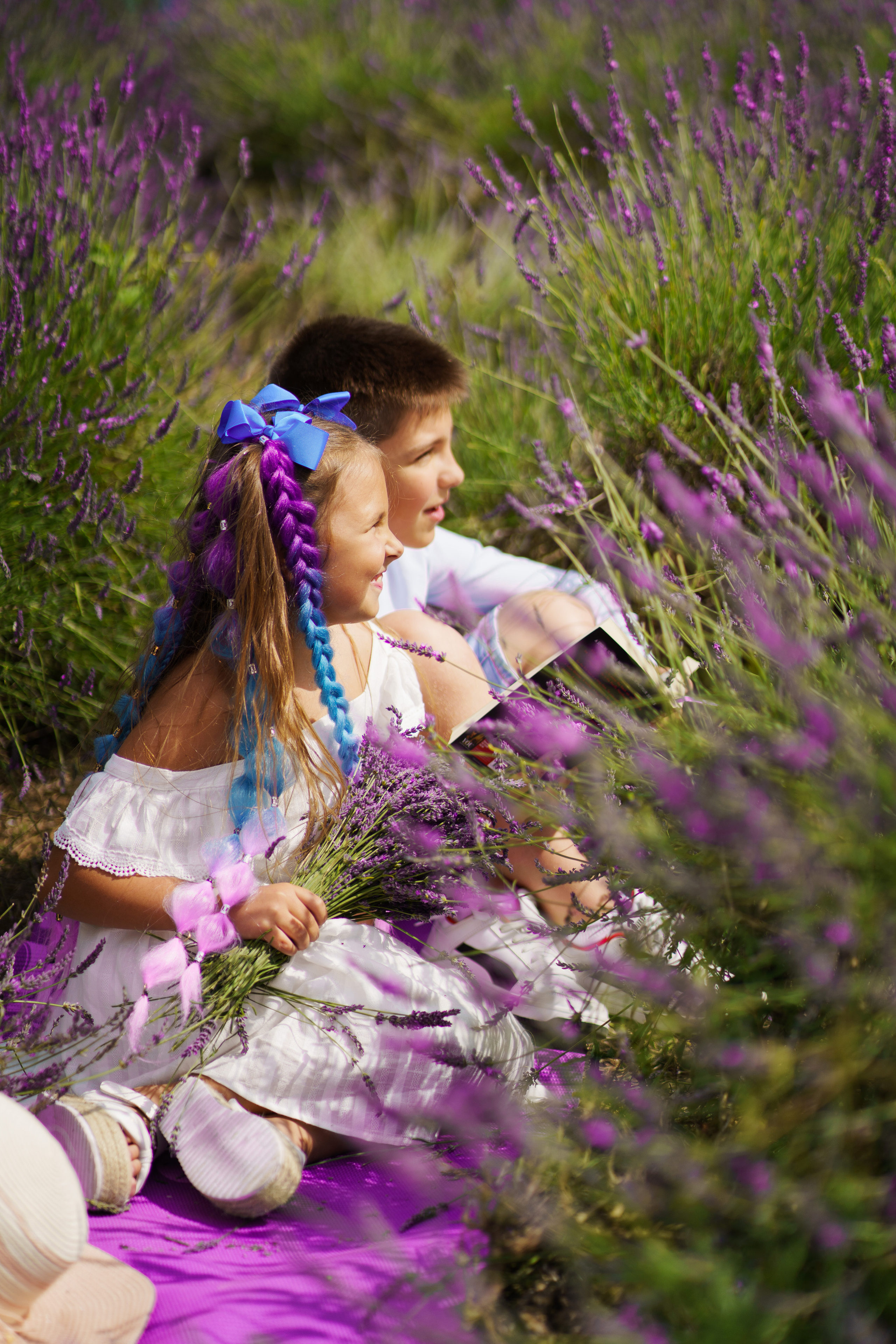 Cute kids in  the lavender field. Jelena Upleja children and family photographer in Bognor Regis