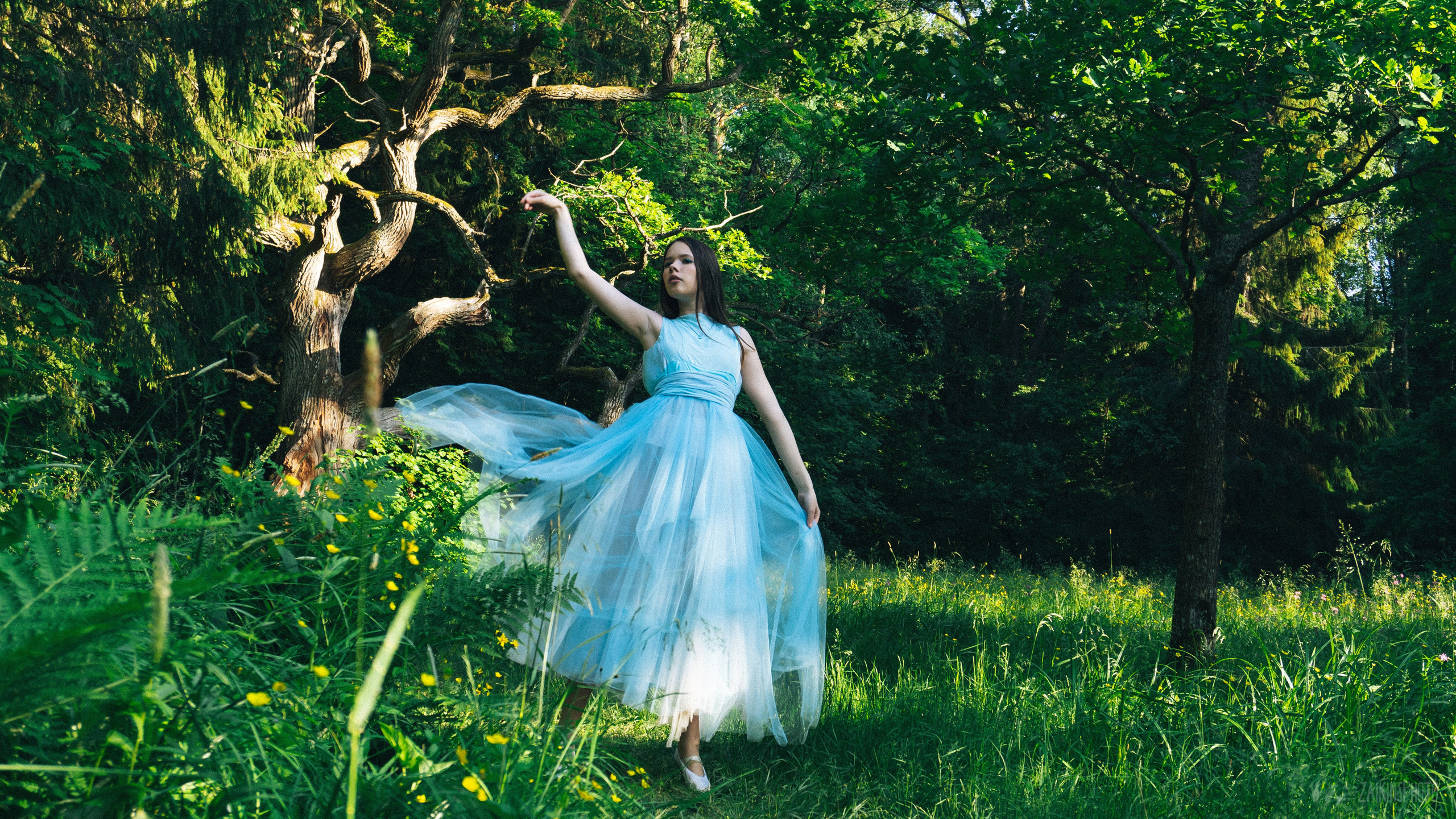 Alice In Wonderland. Main