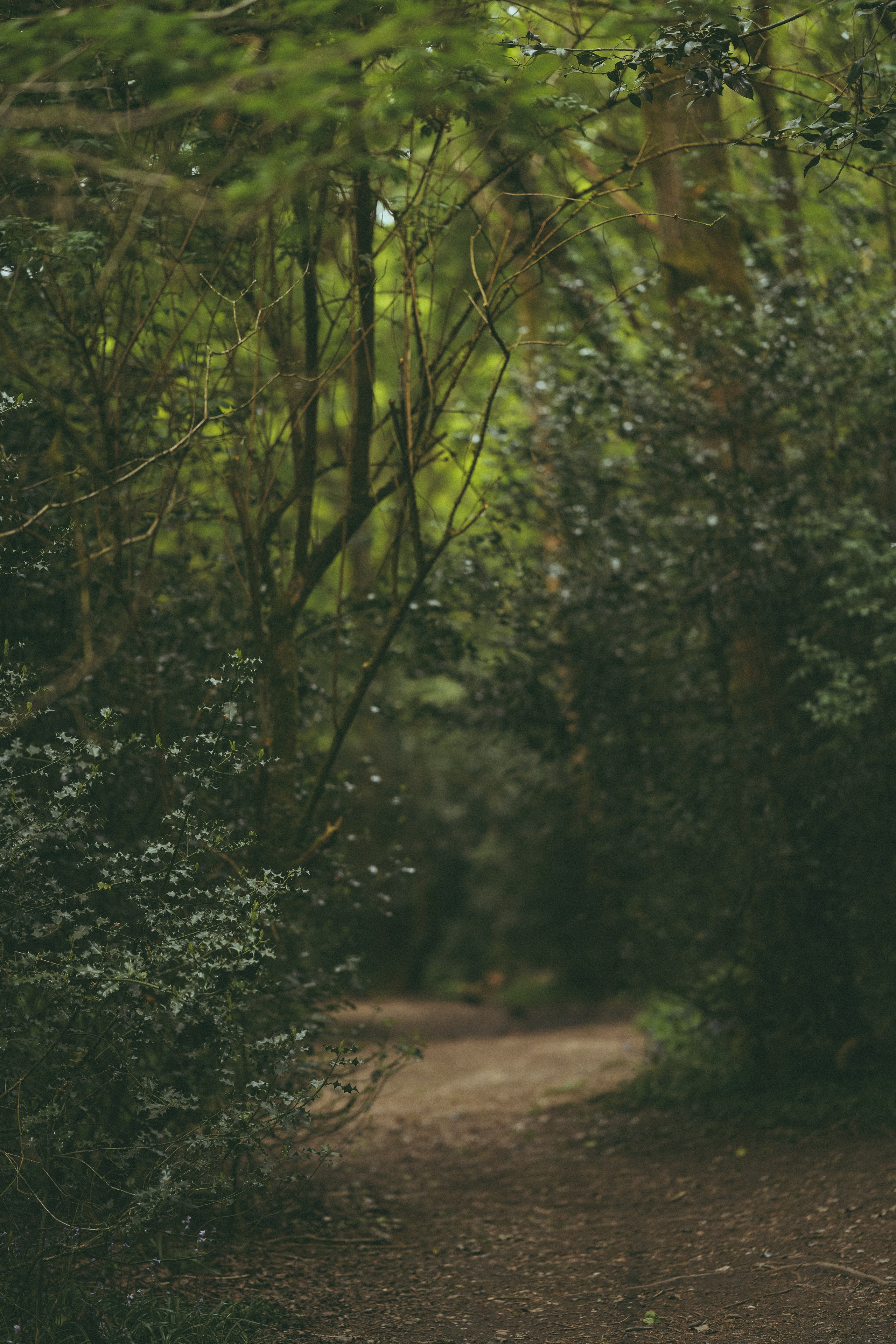 Ellie and Lauren. Creative Family, Brand, Boudoir and Wedding Photographer in Solihull & Birmingham Irina Zoteeva