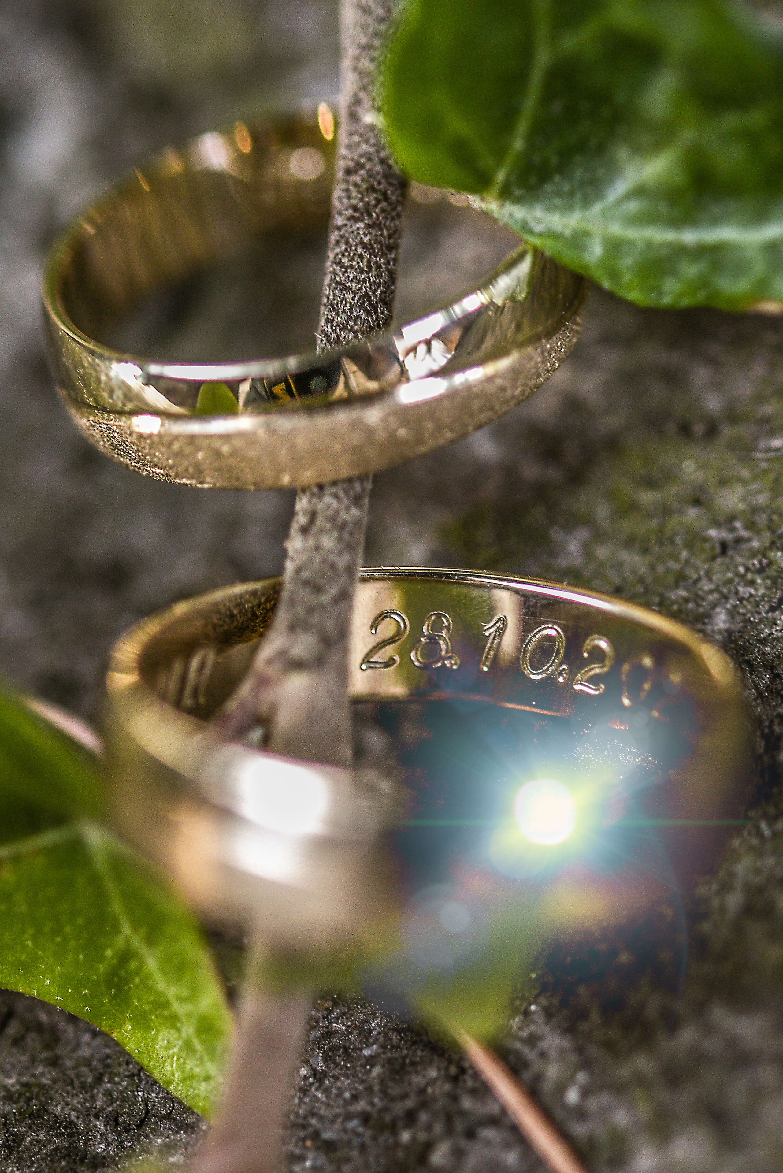 Fotograf Novi Sad Maja Vukelic Pavkov