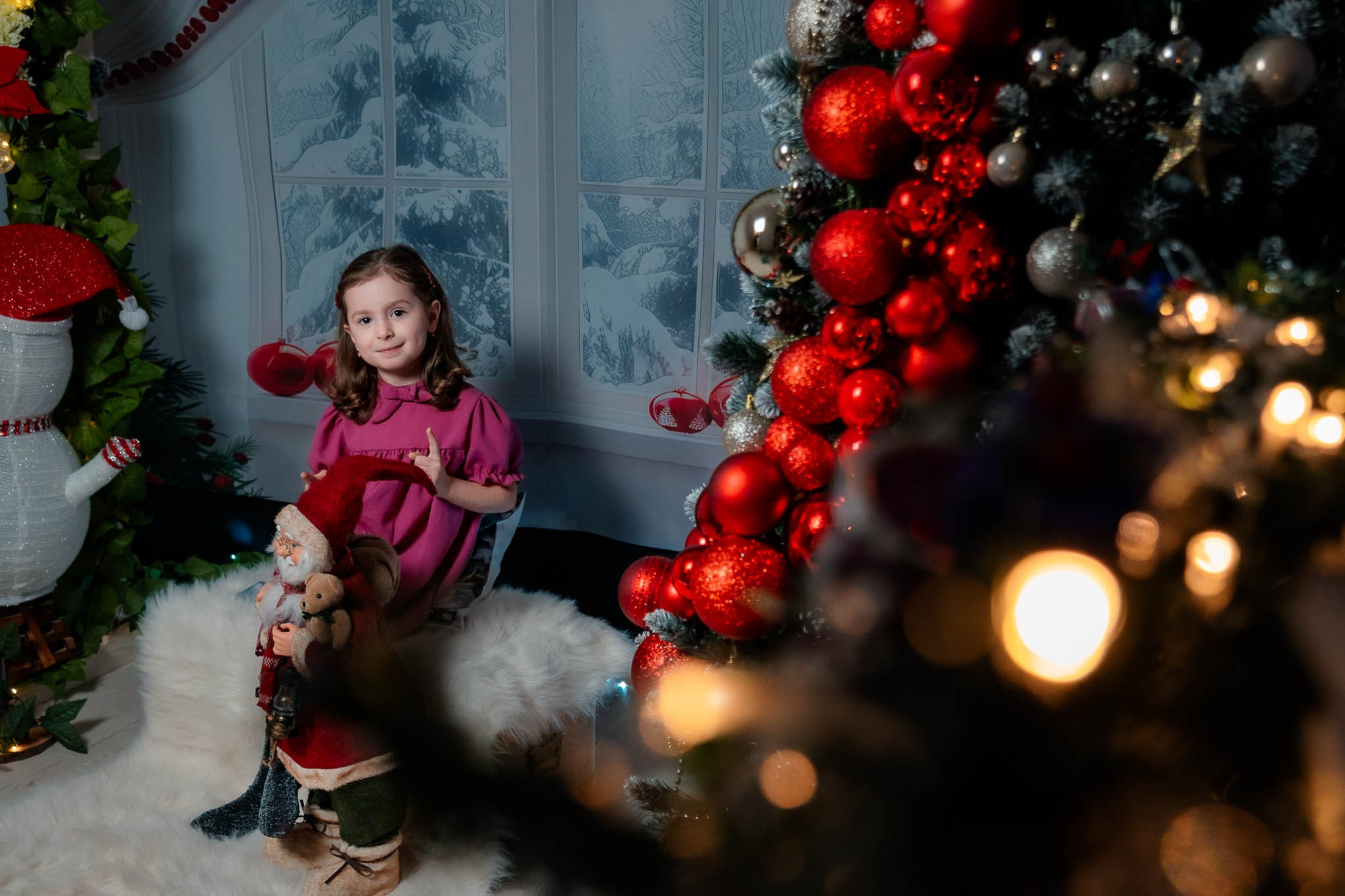 Sedinta Craciun Nicoleta