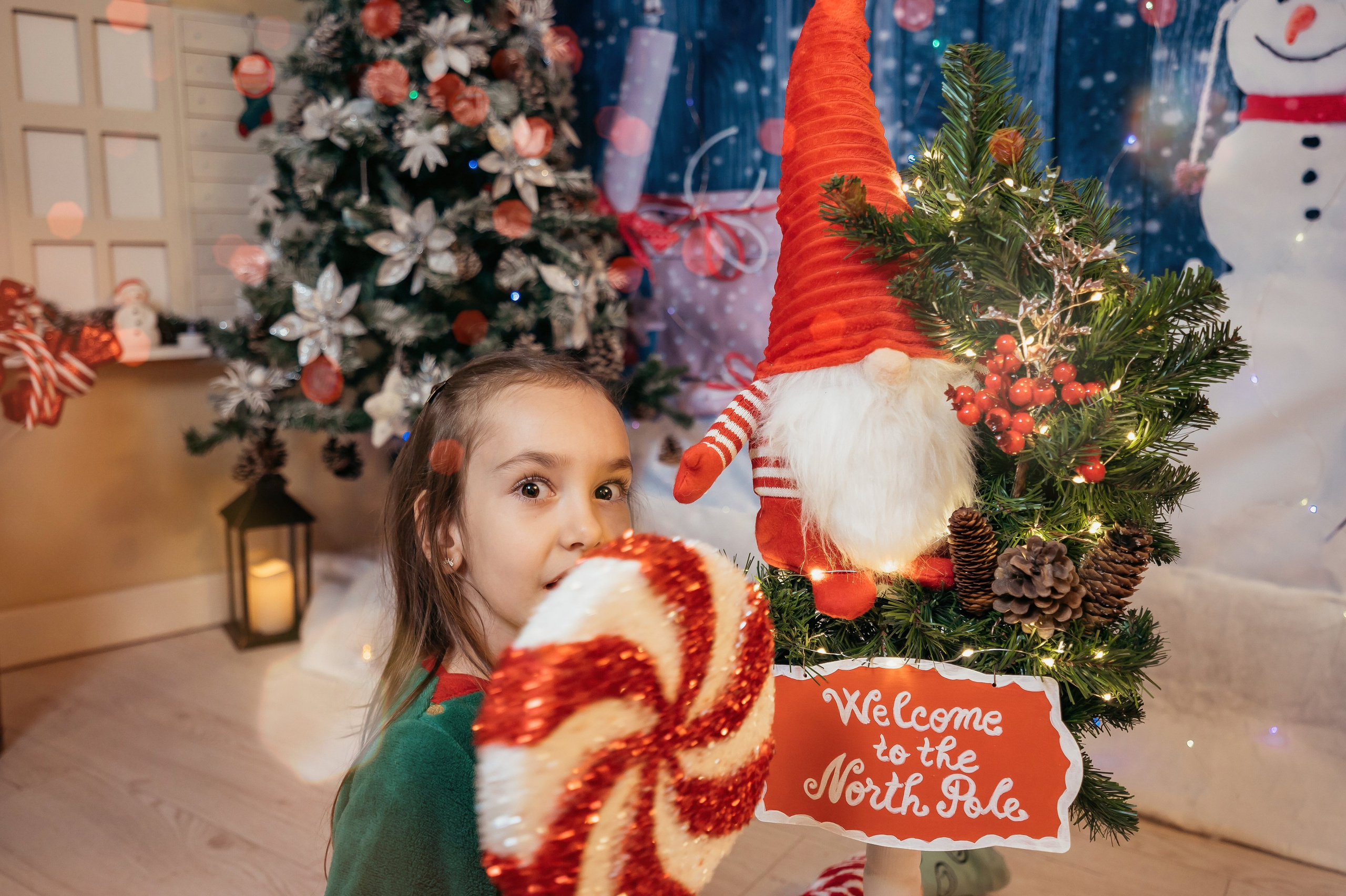 Sedinta Craciun Sofia