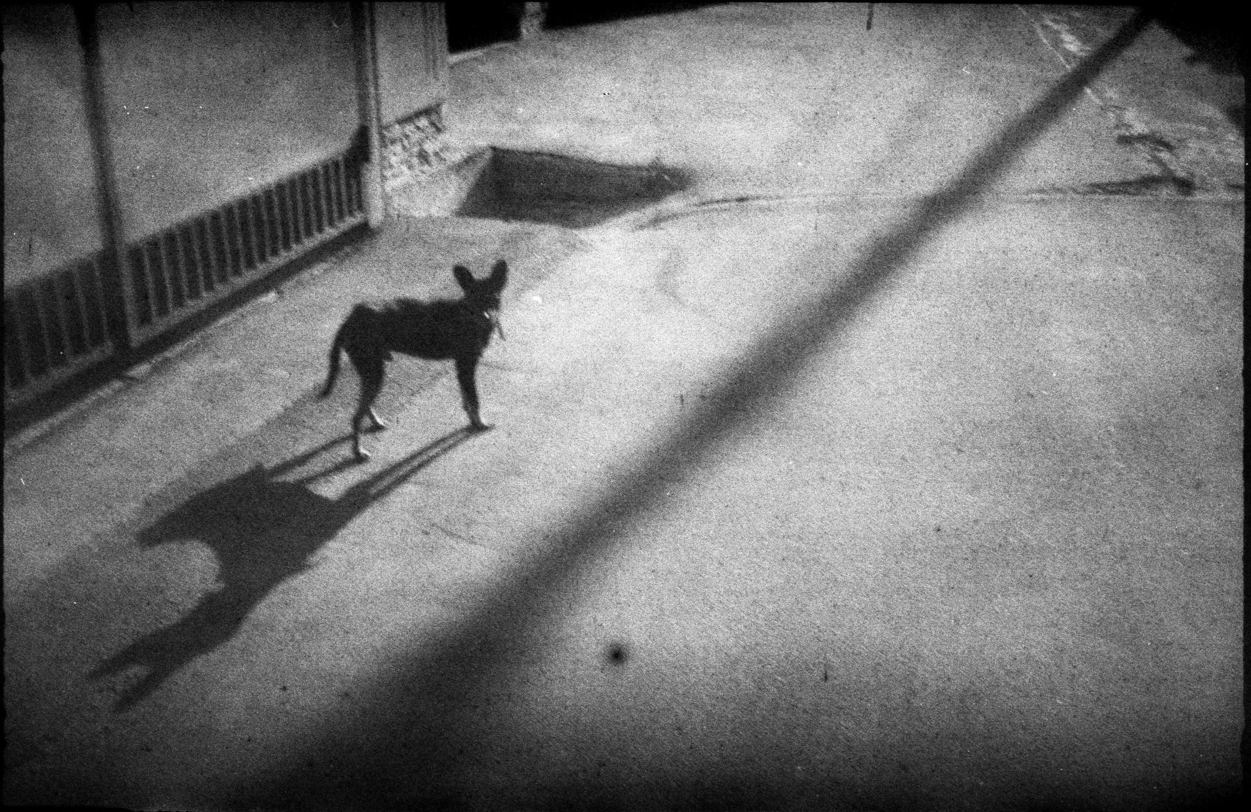 Silent light. Natalia Parfenova visual artist film photographer