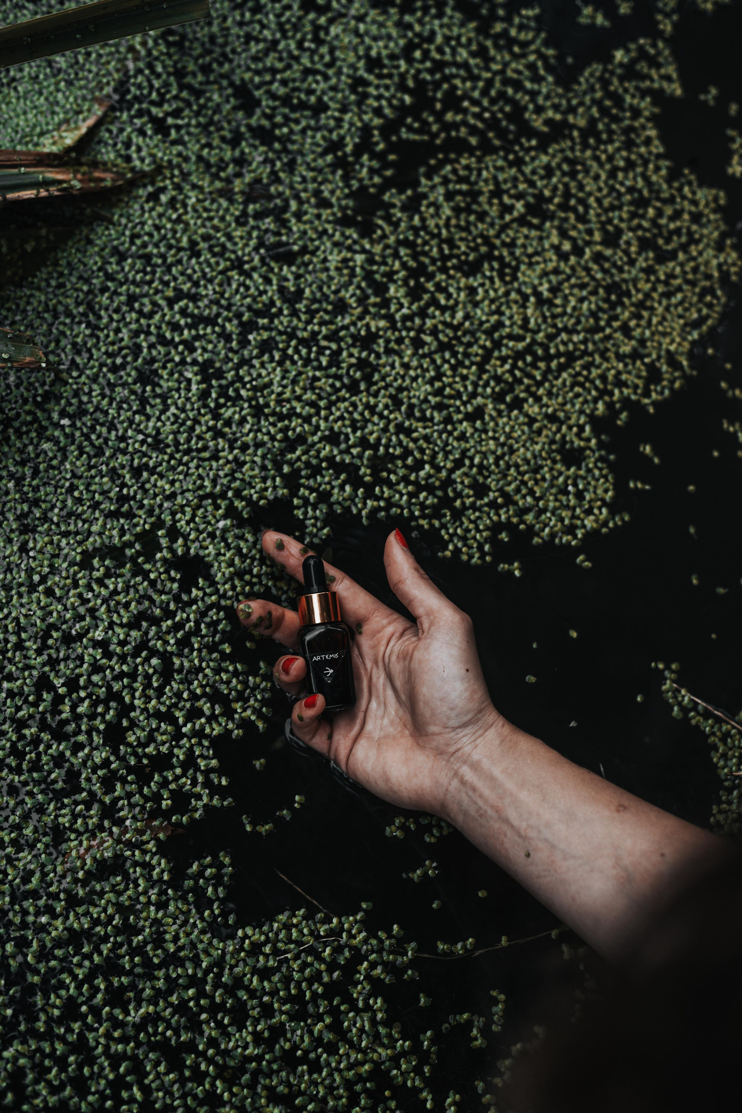 Dana Lišková - Portrétní a brandová fotografka Praha - Byznys portrét Praha - Brandové foto praha - Byznys a korporátní portrét Praha - Firemní focení Praha