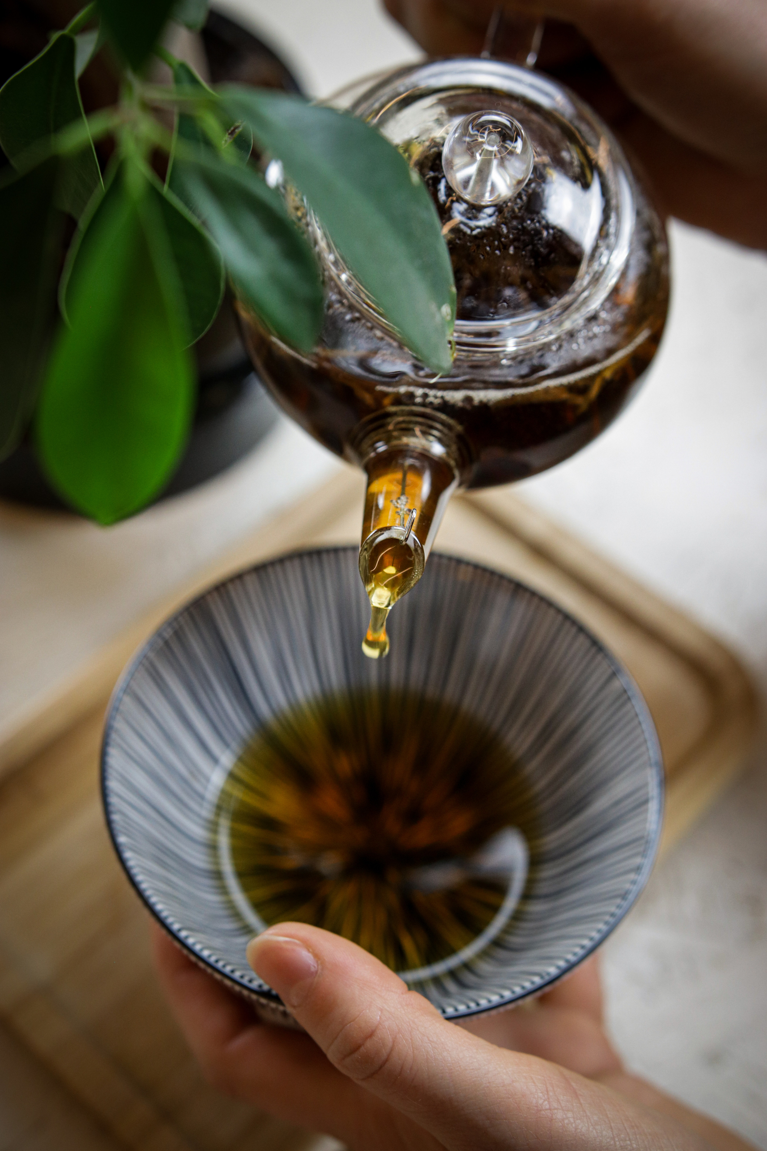 Dana Lišková - Portrétní a brandová fotografka Praha - Byznys portrét Praha - Brandové foto praha - Byznys a korporátní portrét Praha - Firemní focení Praha fotografie praha