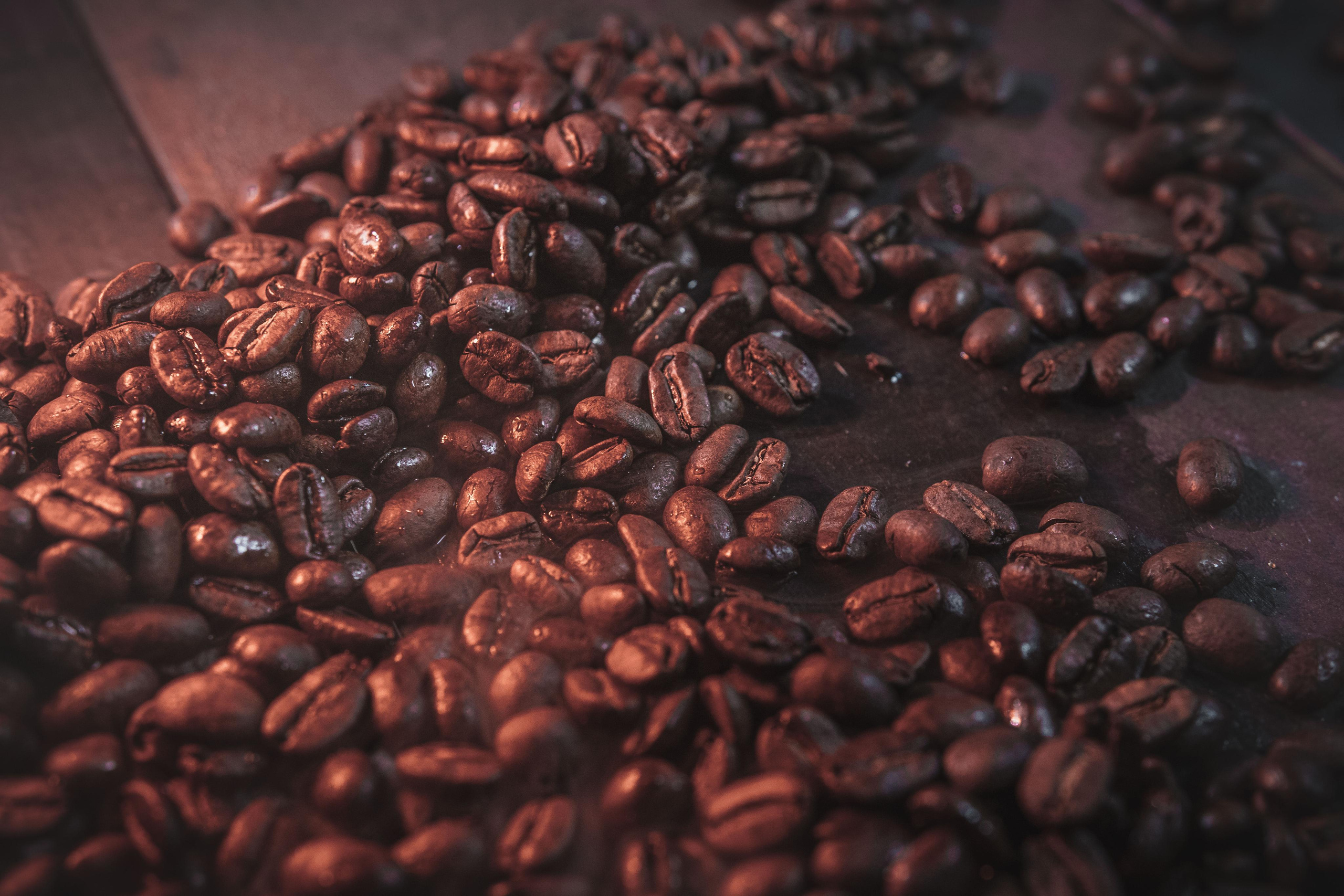 Dana Lišková - Portrétní a brandová fotografka Praha - Byznys portrét Praha - Brandové foto praha - Byznys a korporátní portrét Praha - Firemní focení Praha