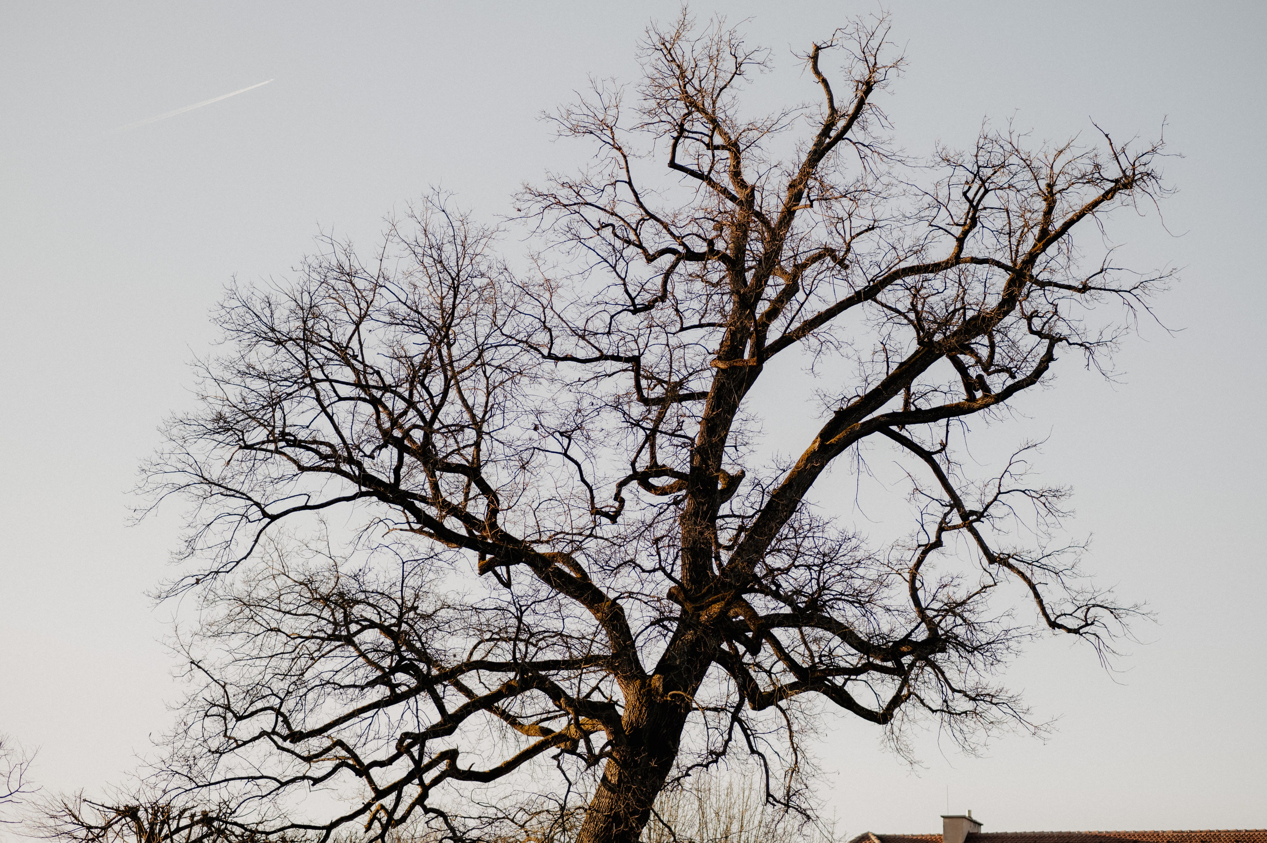 AFTER-WEDDING IM HOFGARTEN ANSBACH. Fotografin Ansbach - Paare | Hochzeit | After Wedding