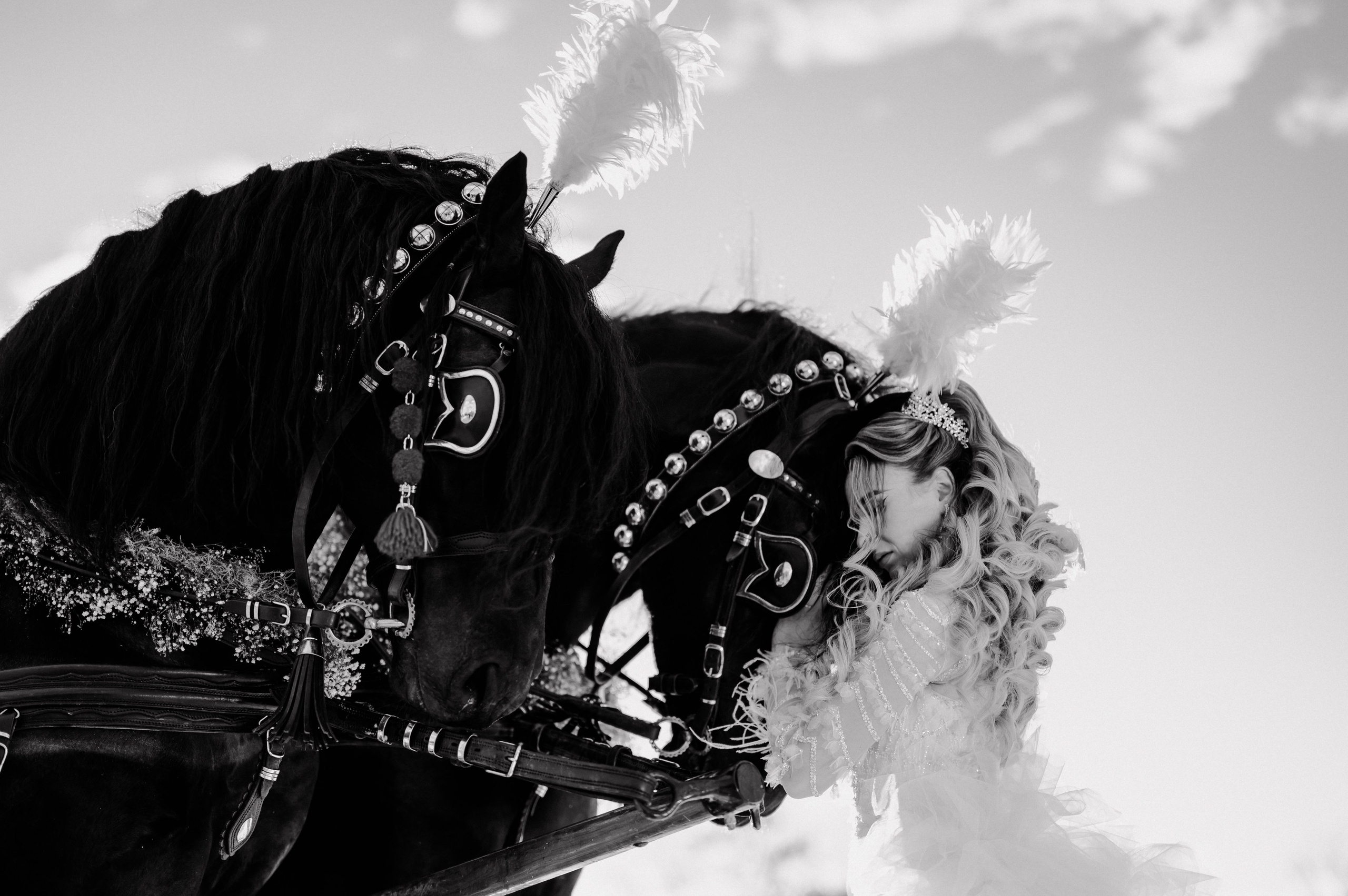 Fotografie & Videografie evenimente - Suceava, Romania