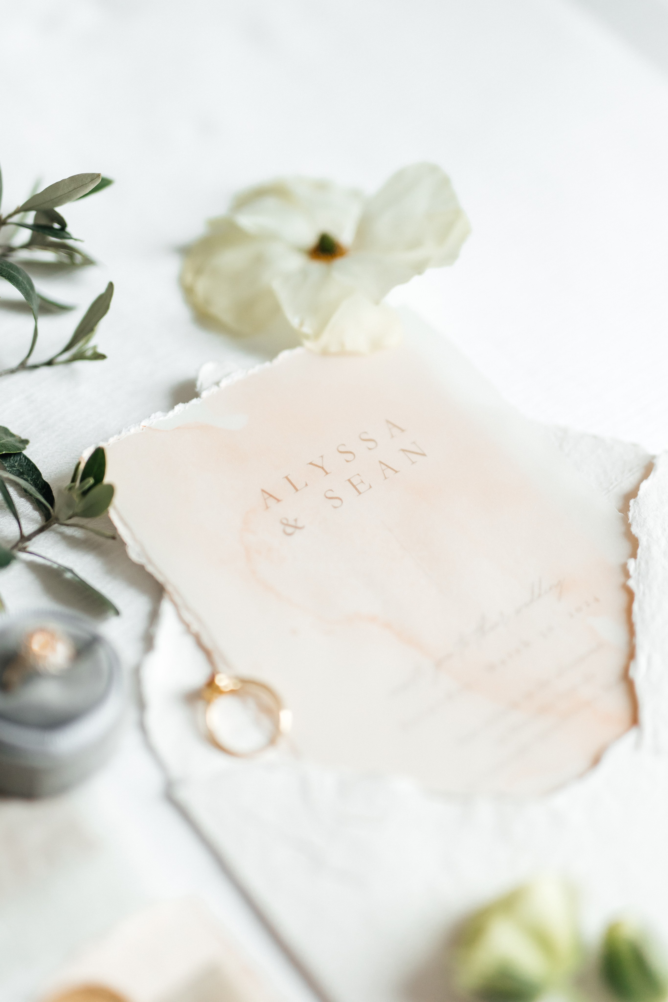 Alyssa&Sean. Весільний фотограф Вікторія Саврук