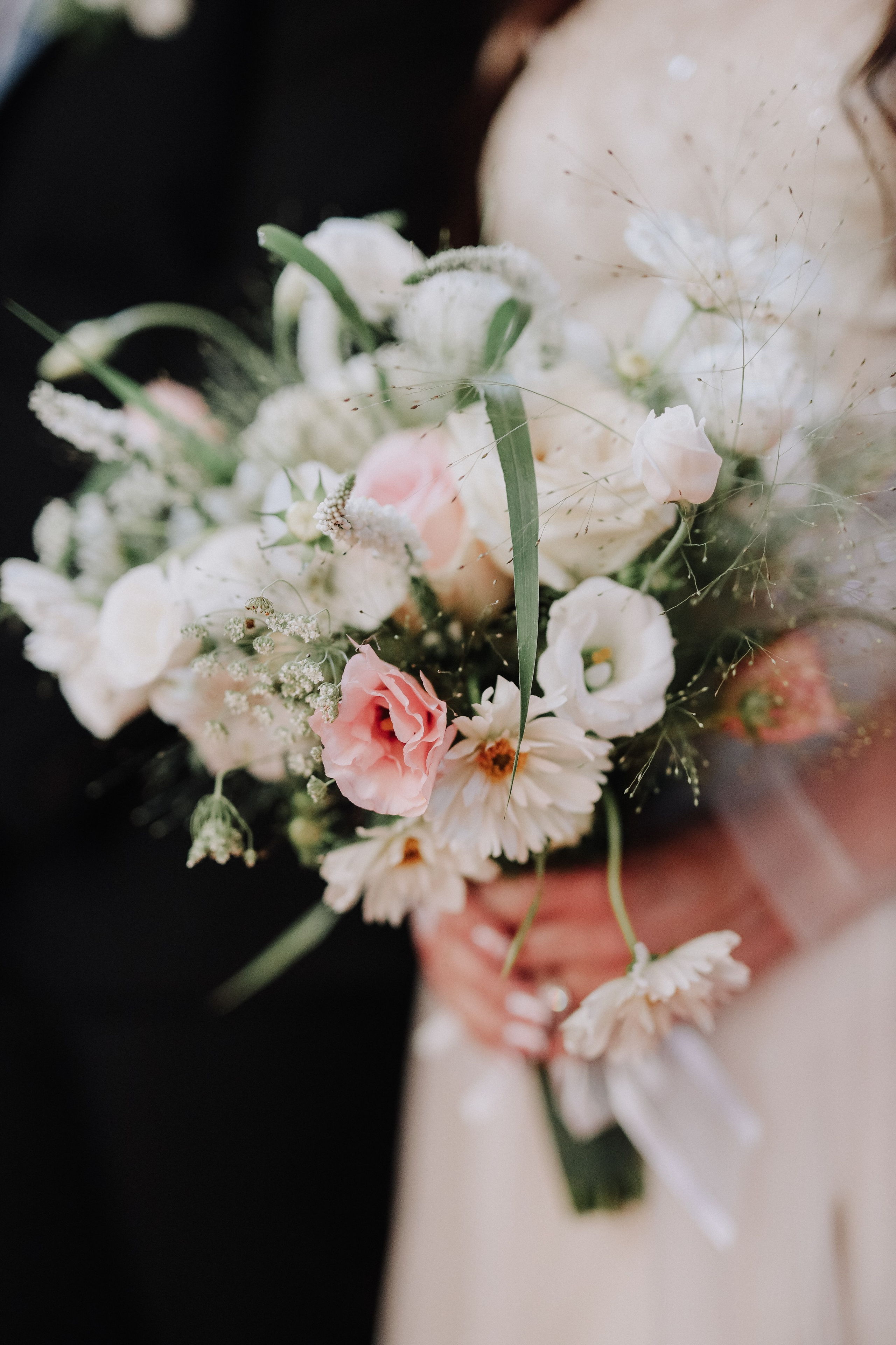 Marko Tucić Photography | Fotograf Zrenjanin