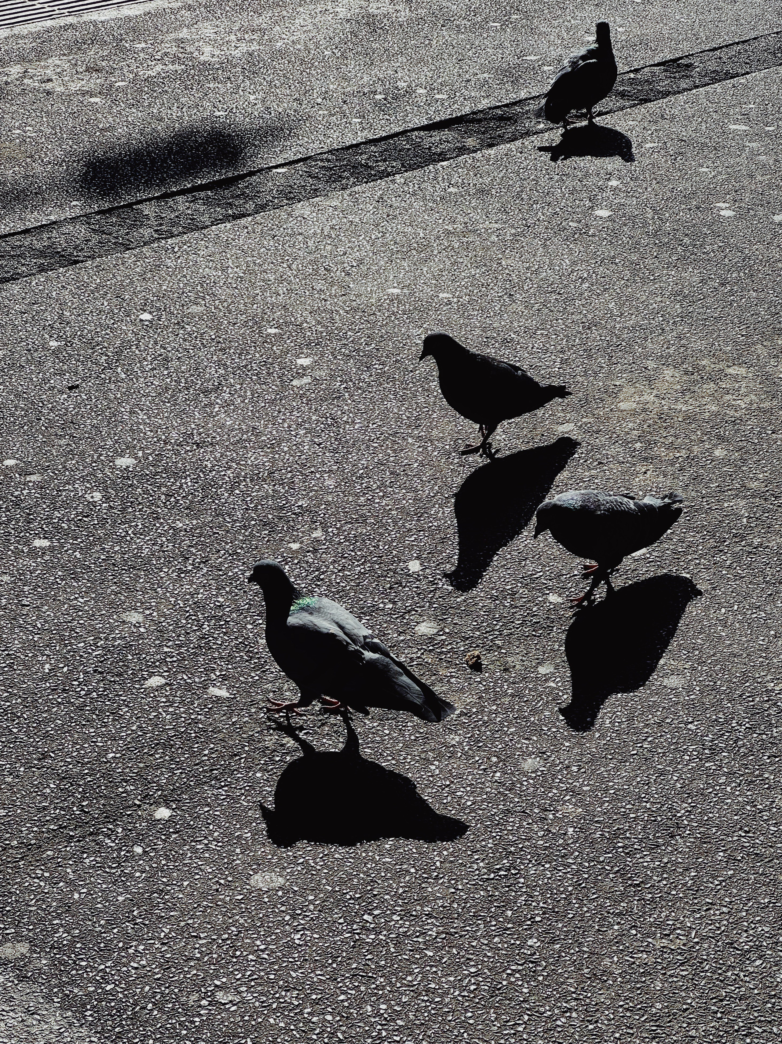 Street. Maria Sher. Professional photographer from Porto, Portugal