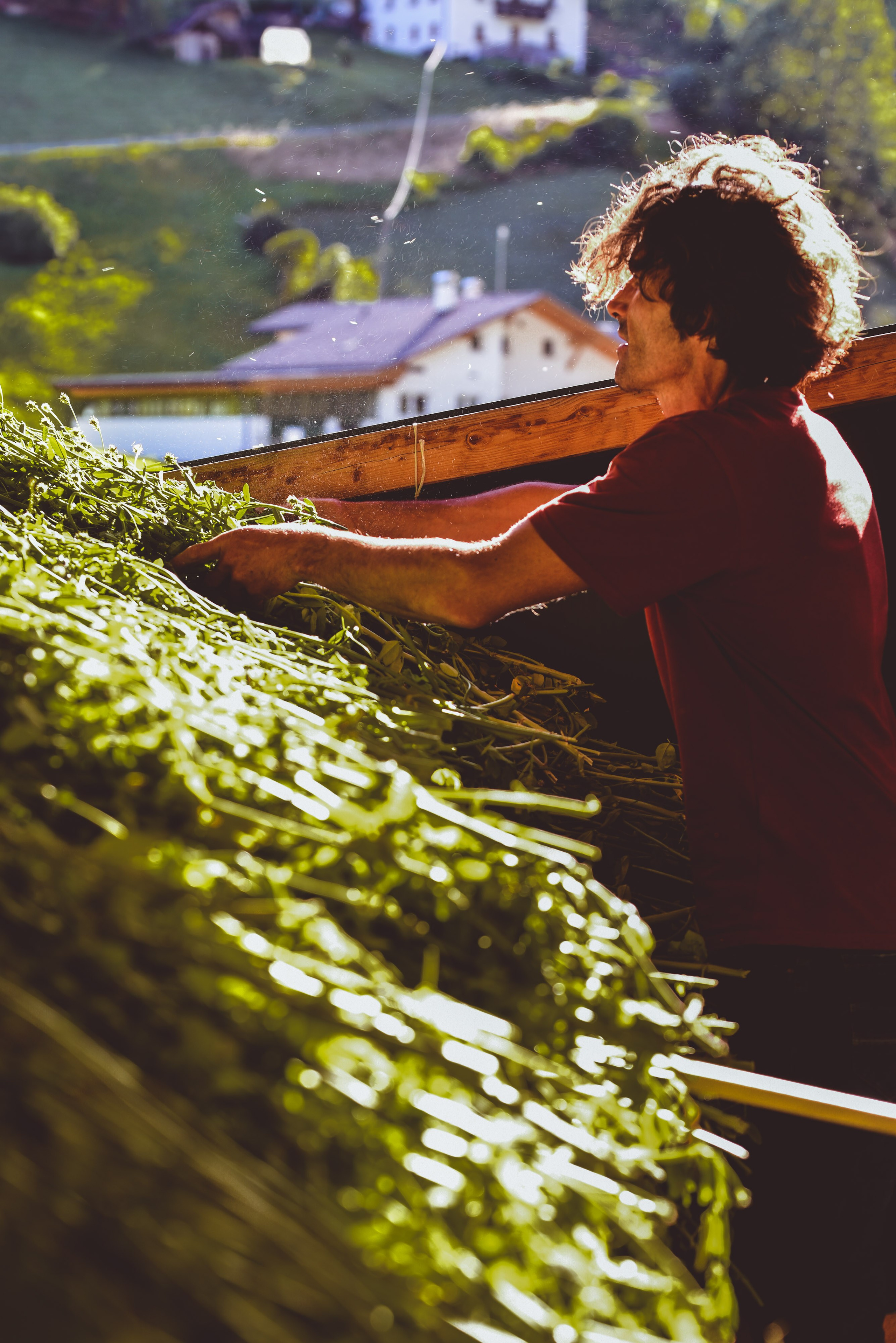 Kräutergarten Wipptal. Familienfotografin aus Sterzing Elena Muehlsteiger