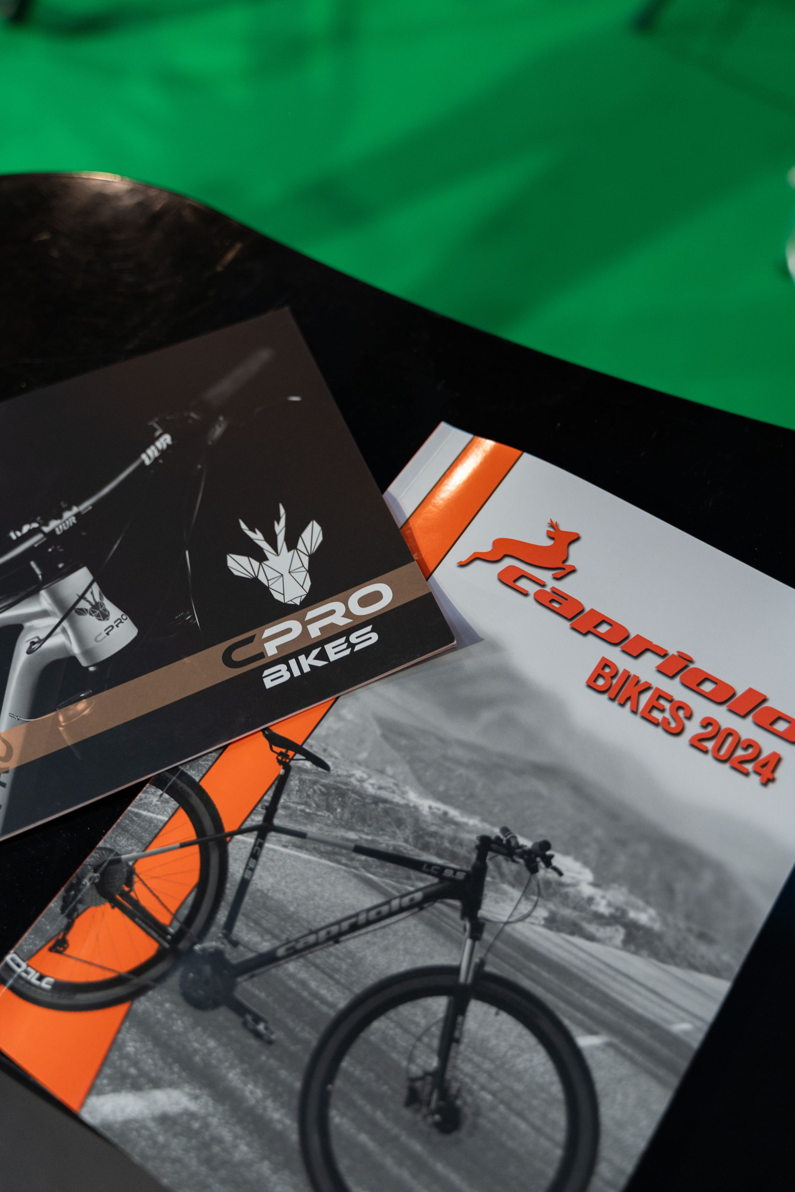 Electric Vehicles Days in Novi Sad 2024. Zhukov studio