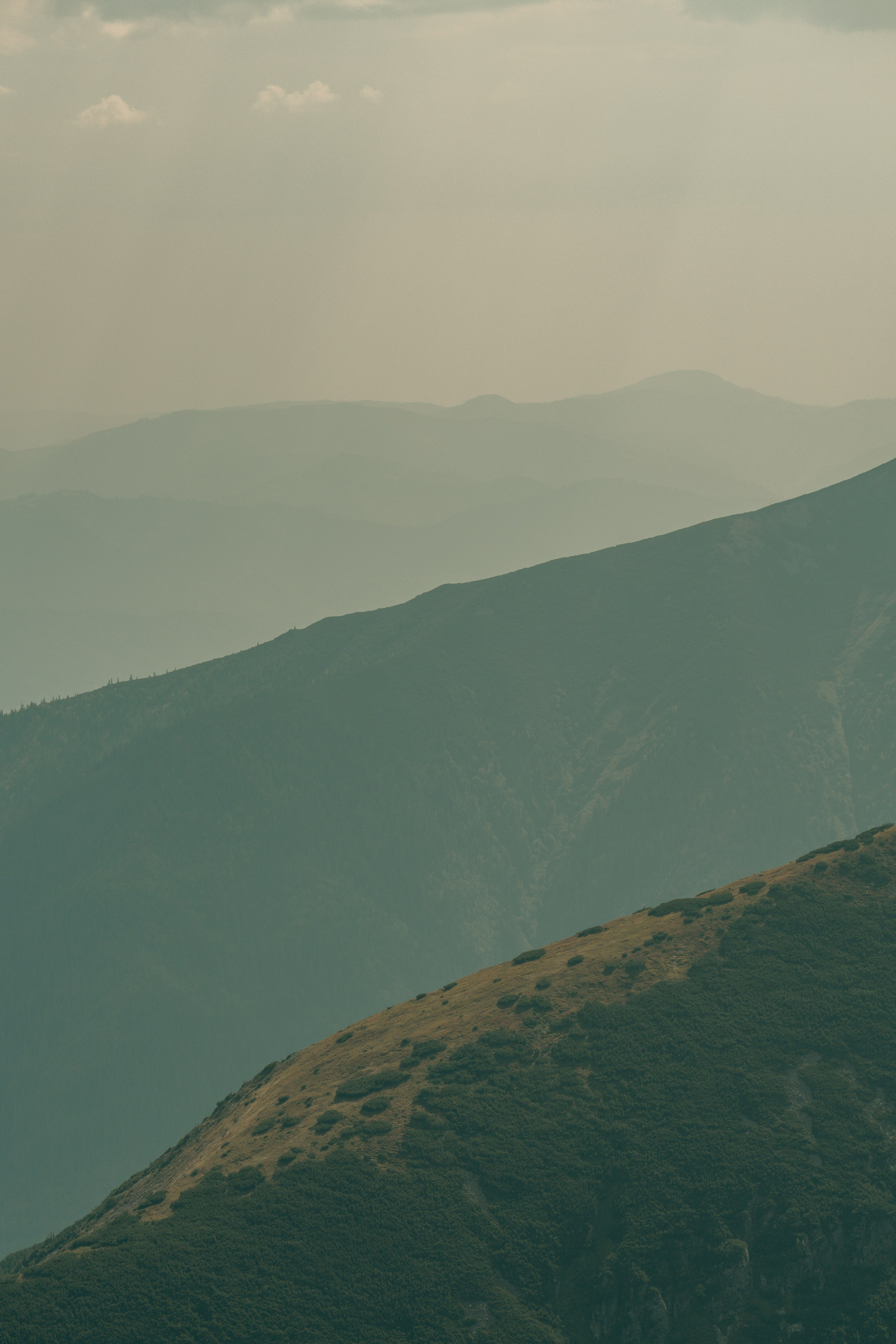 Landscape. Fotograf Poznan