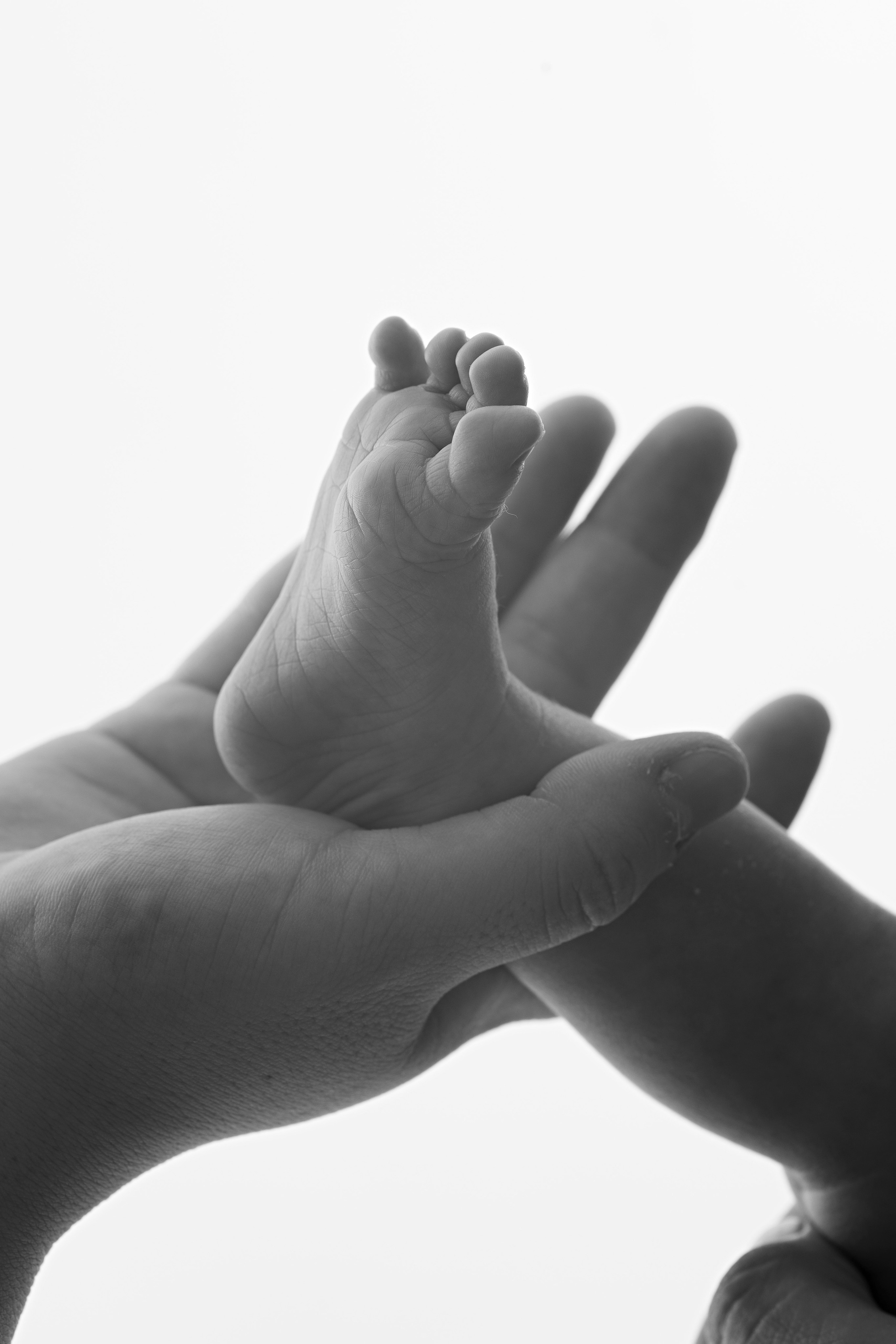 C&C. Portrait and Family Photographer in Netherlands