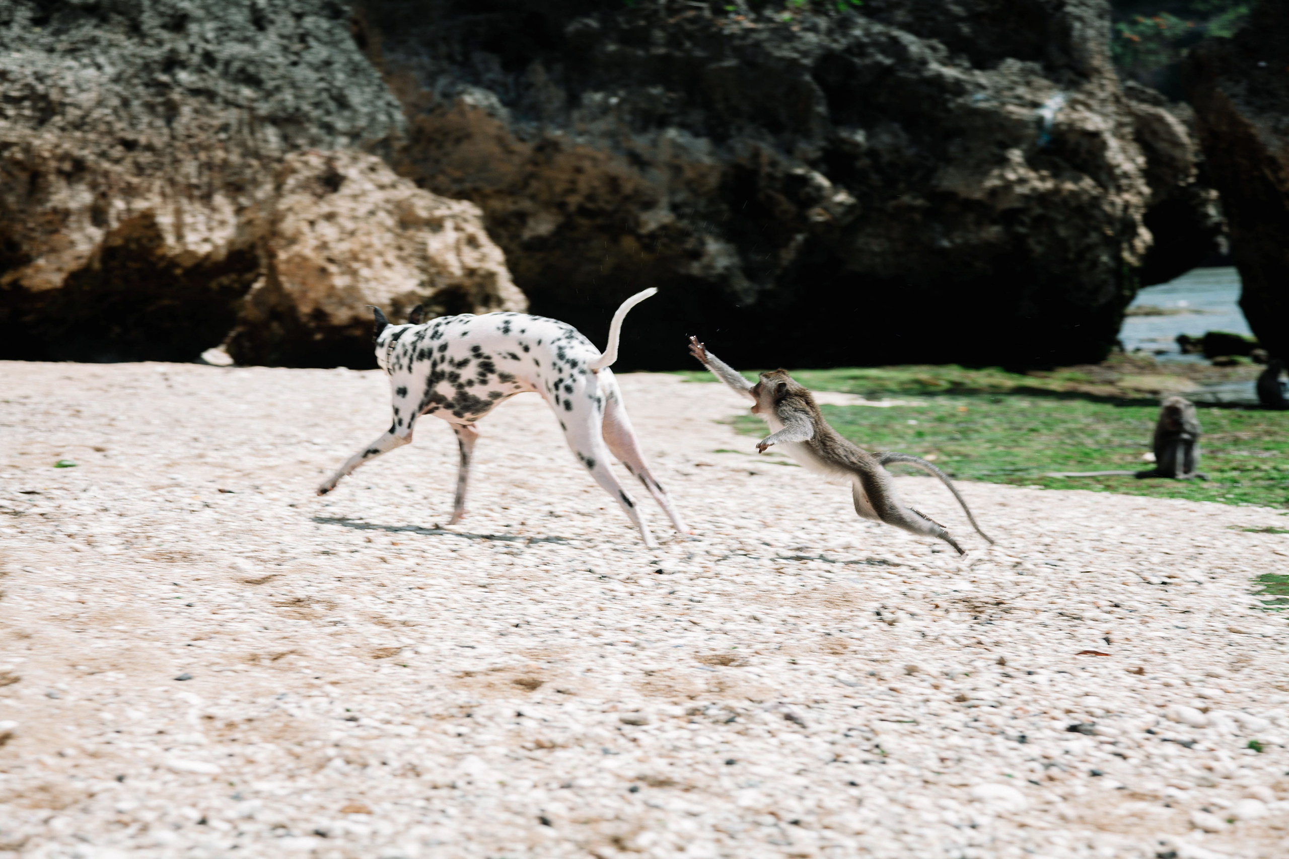 Landscapes. Wedding photographer Lyubov Sun Reutlingen