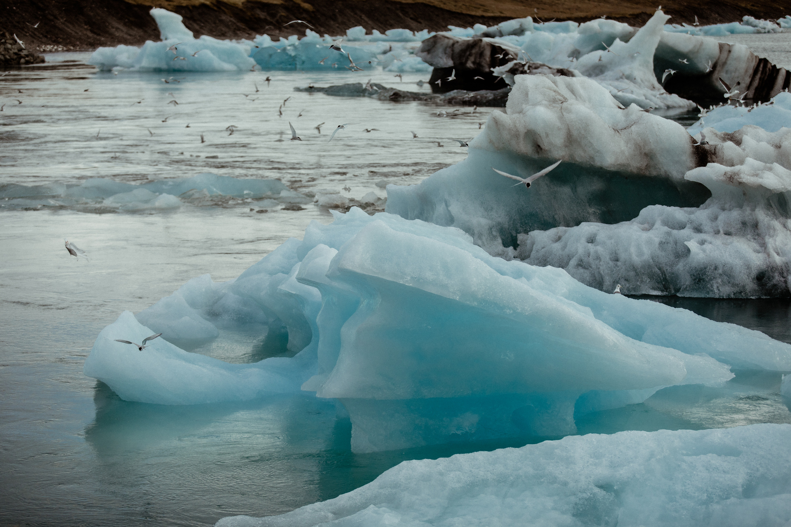 Adventure elopement in Iceland. Iceland elopement photo and video | Nikolaichik Photo