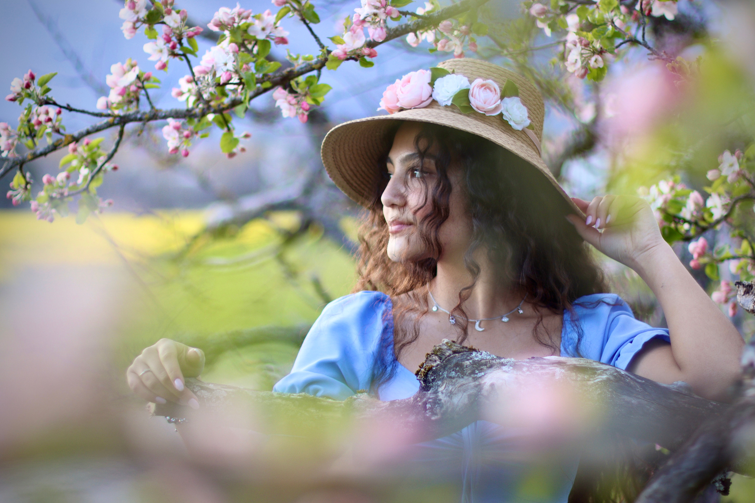 Альми / Швейцария. Home