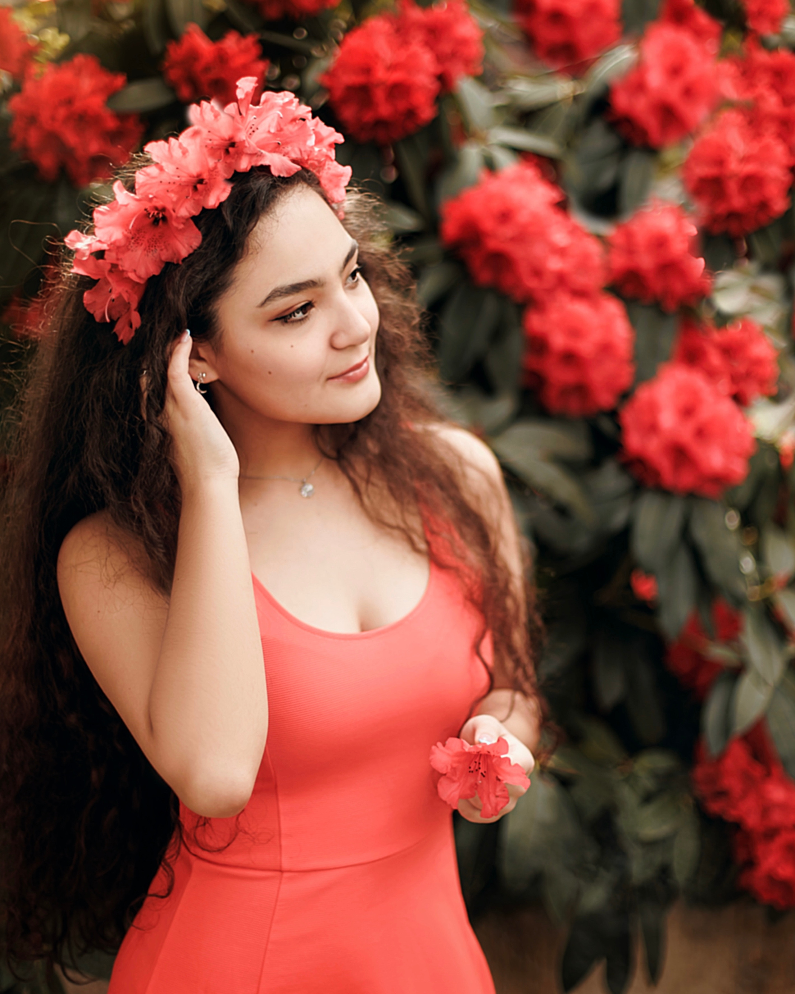 Альми / Швейцария. Home