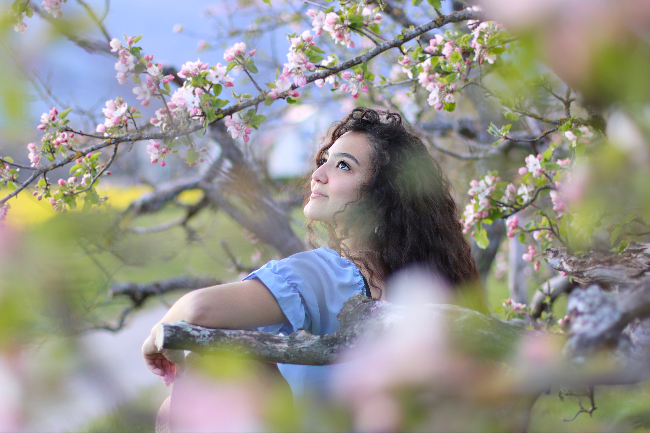 Альми / Швейцария. Home