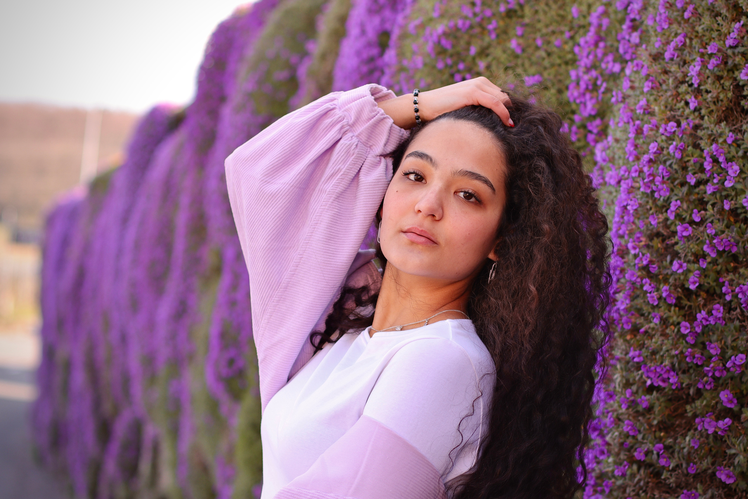 Альми / Швейцария. Home