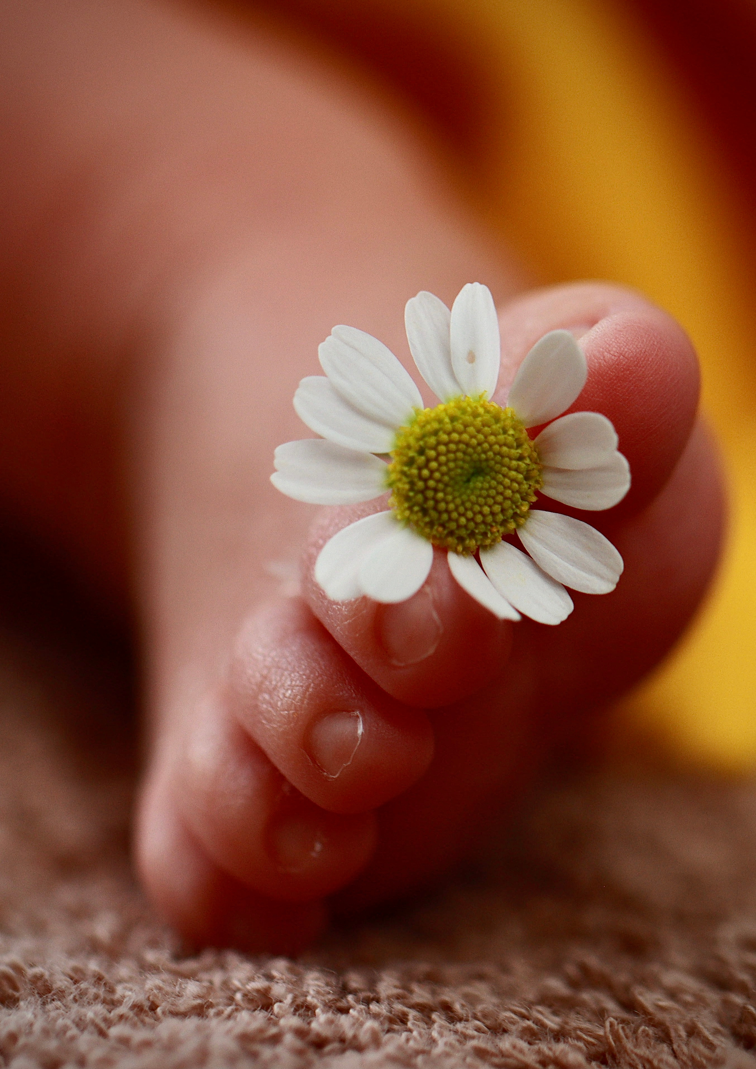 Тимур & Амир / Трир, Германия. Home