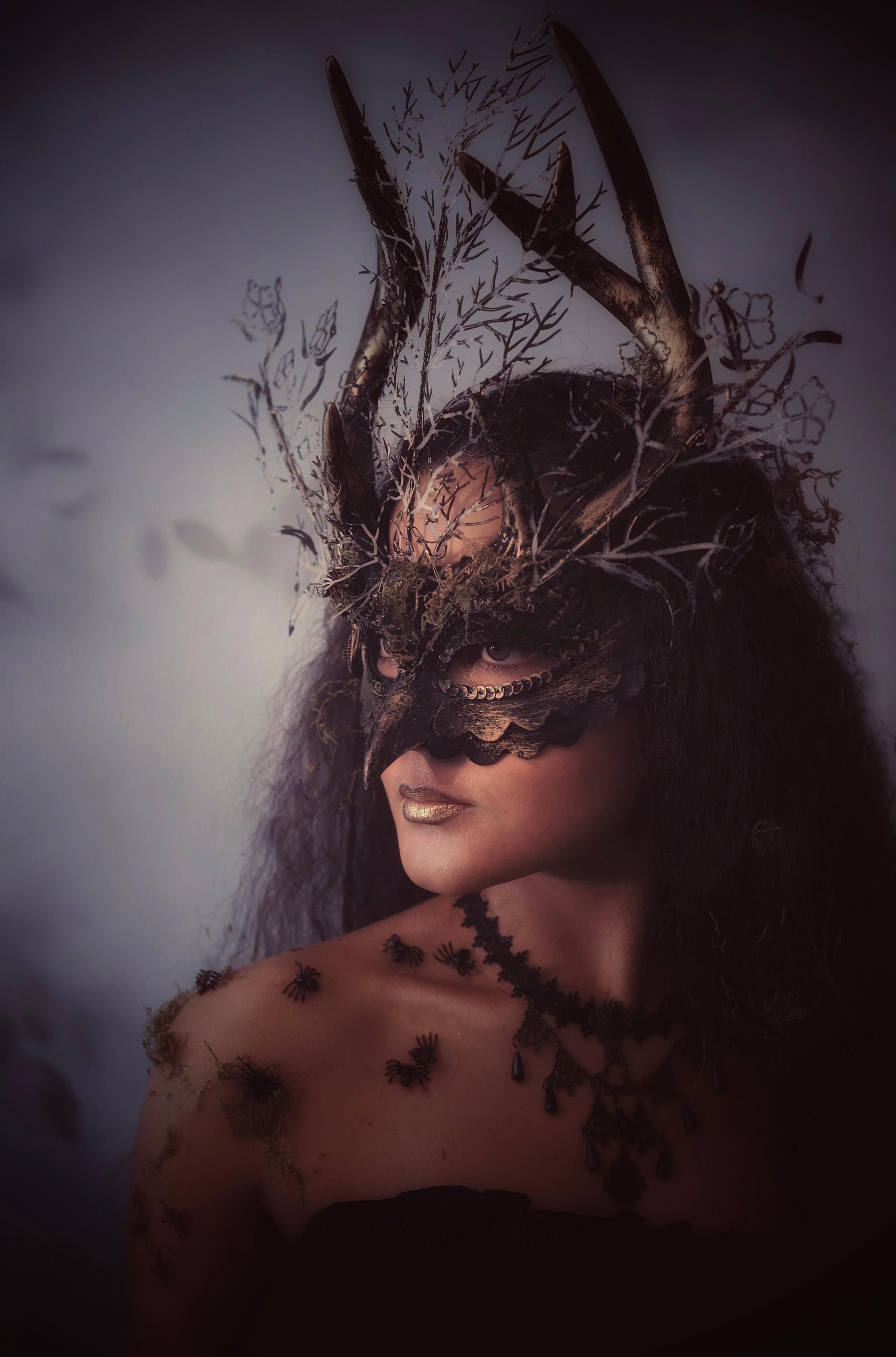 Forest Fairy (Night). Главная