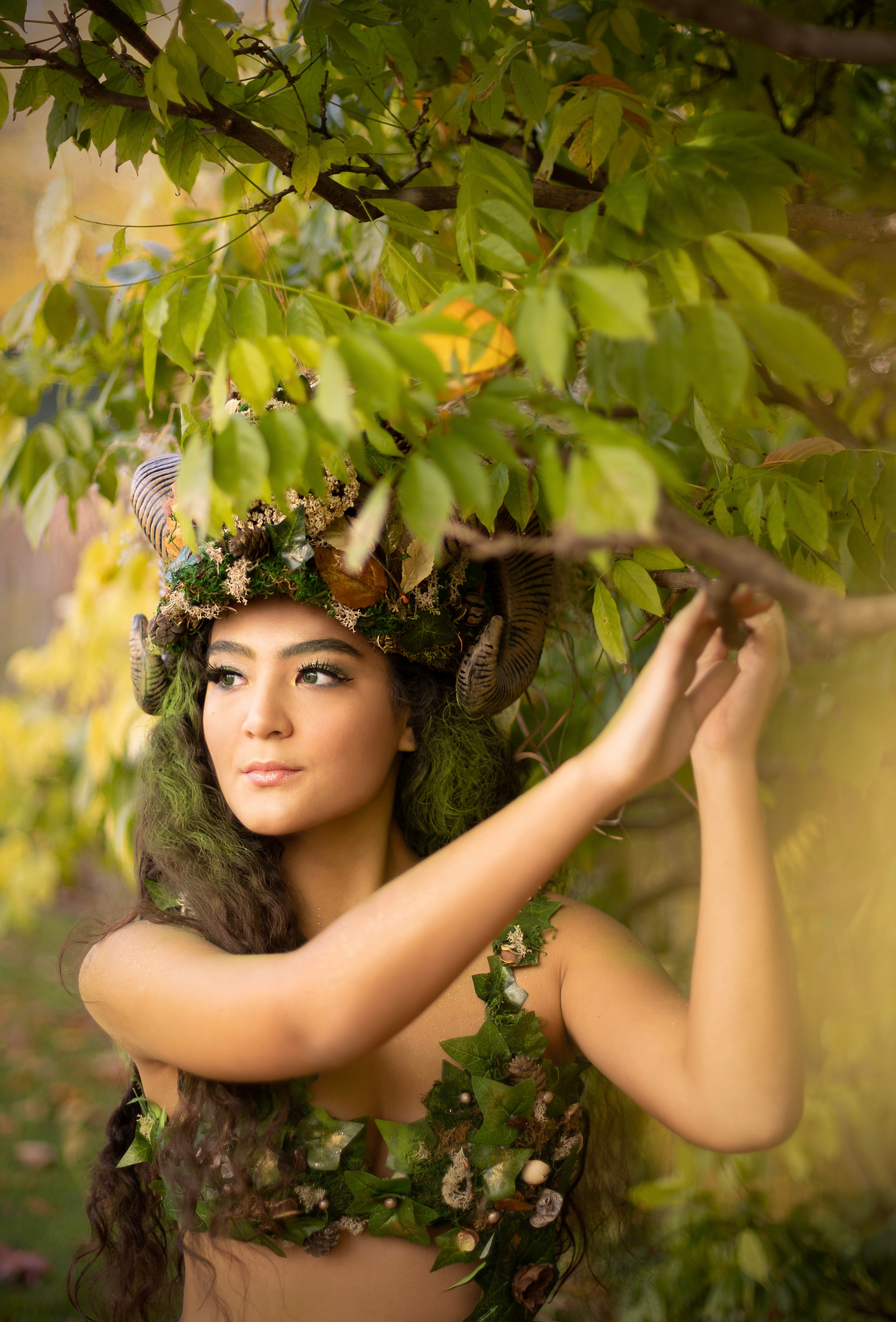 Forest Fairy (Summer). Главная