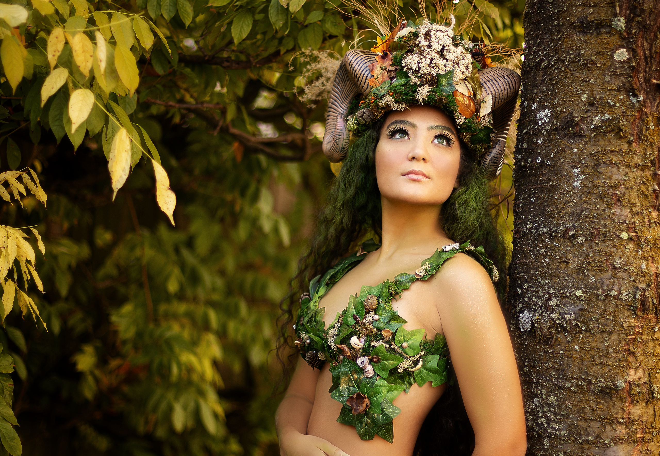 Forest Fairy (Summer). Главная