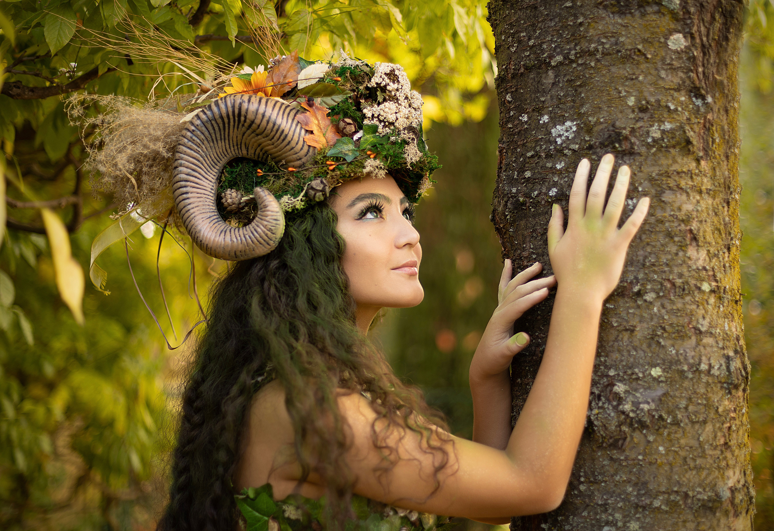 Forest Fairy (Summer). Главная