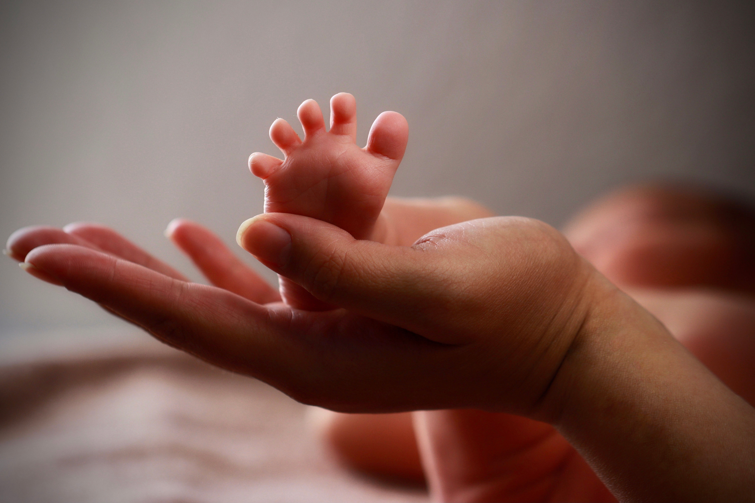 Тимур & Амир / Трир, Германия. Home