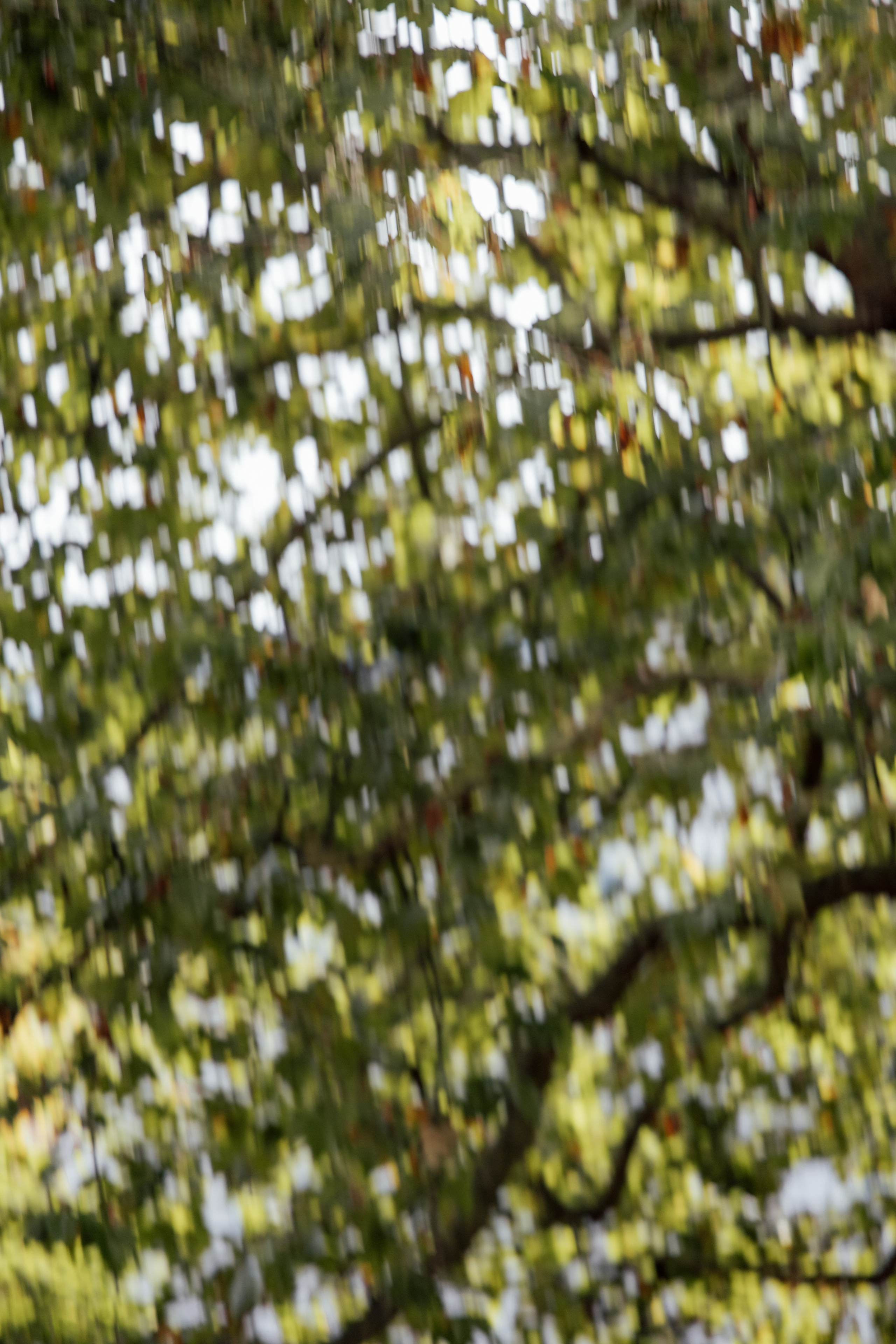 Elegant Wedding London Belgravia Elopement couple. Timeless Wedding & Event Photography — based London, working across Europe