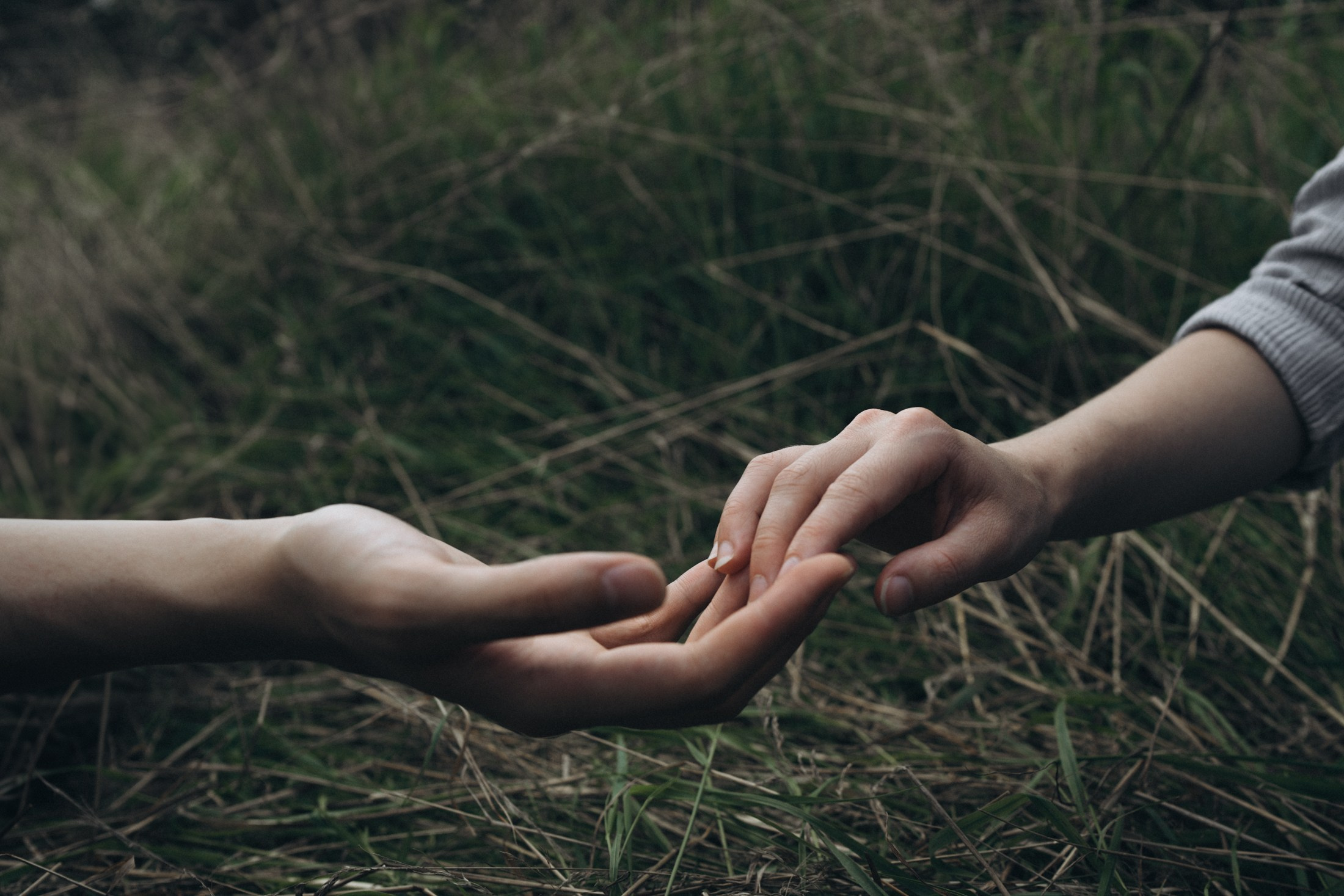 Парная съёмка в Дрездене — фотография вашей любви. Свадебный, семейный и портретный фотограф в Дрездене | Ольга Гантман