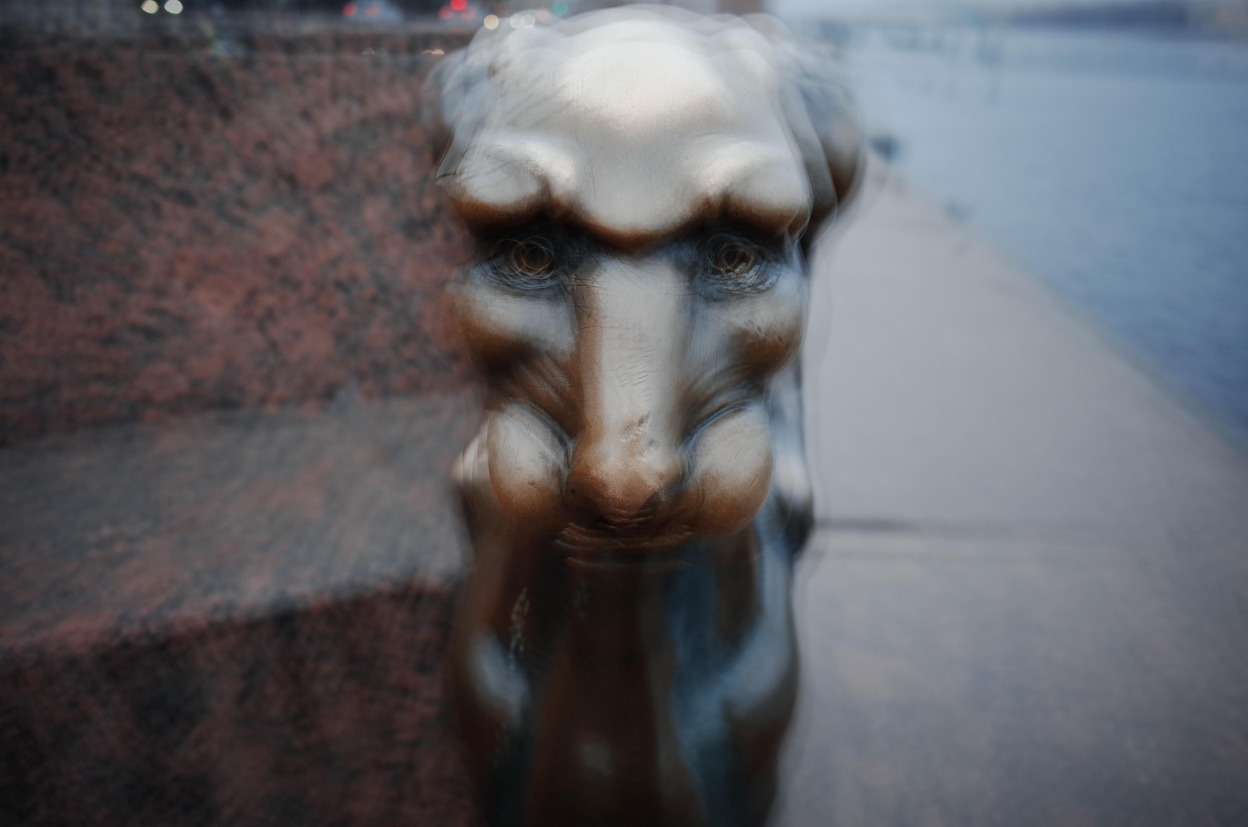 Водный ветер господина Петера. Виктория Дини. Арт-фотография