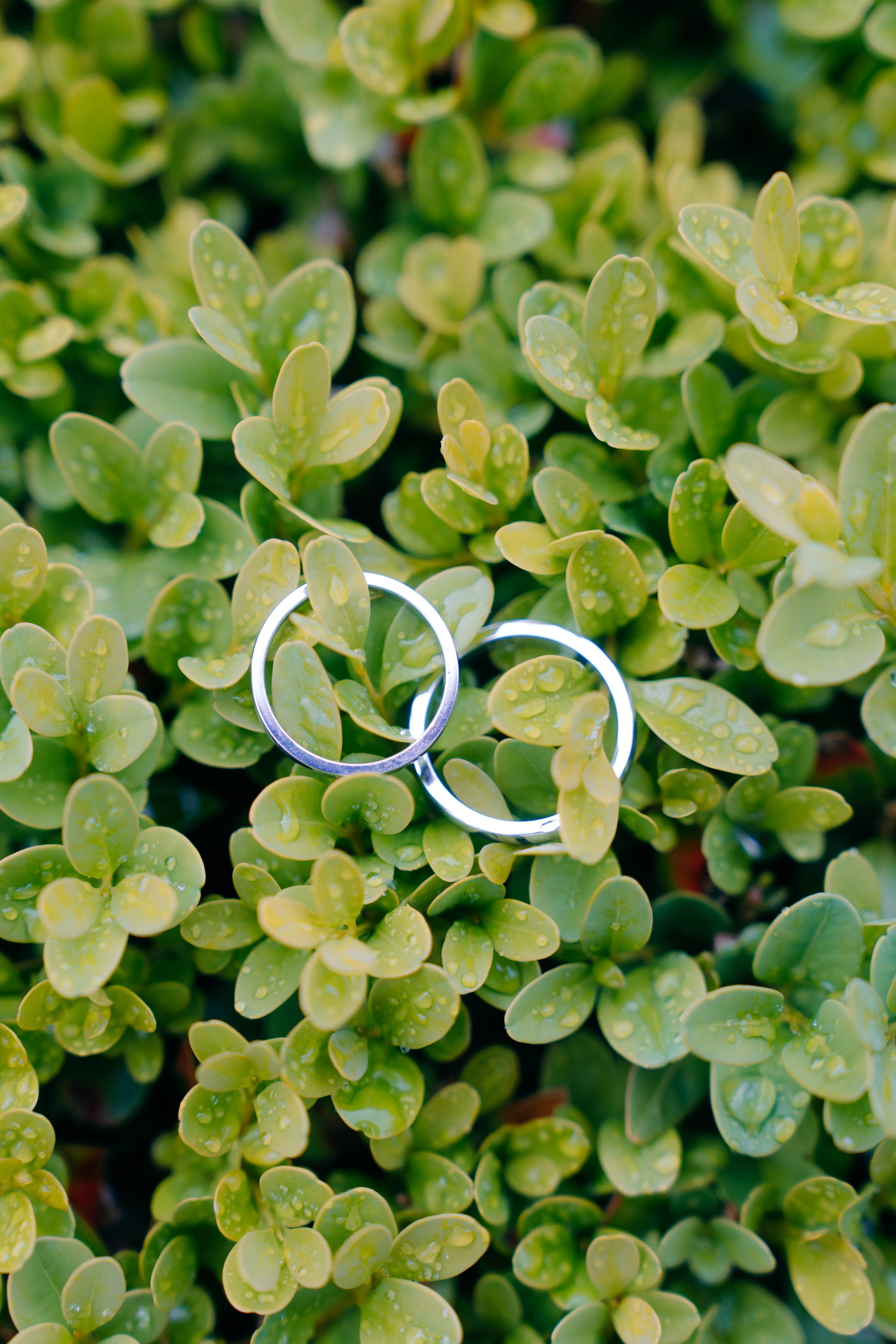 Brianna & Micha. Photographer Luxembourg