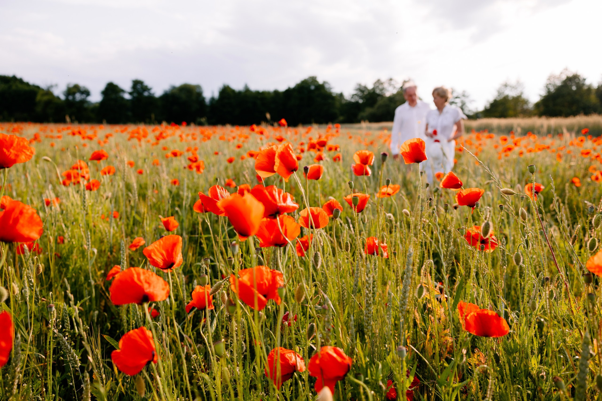 Katarzyna ♡ Dariusz. Fotograf Ślubny Warszawa - Sesje Biznesowe Rodzinne Eventy