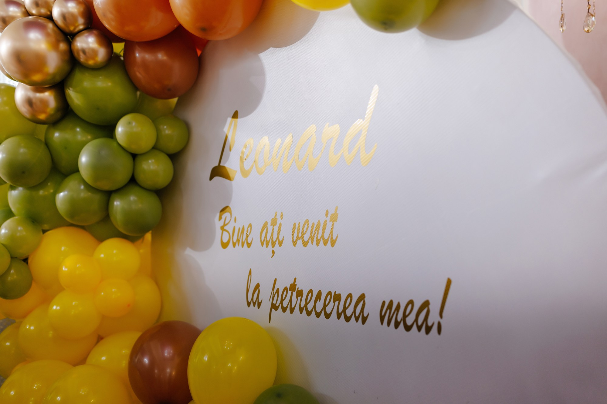 Leonard. Fotograf și videograf de nuntă R. Moldova, Romania