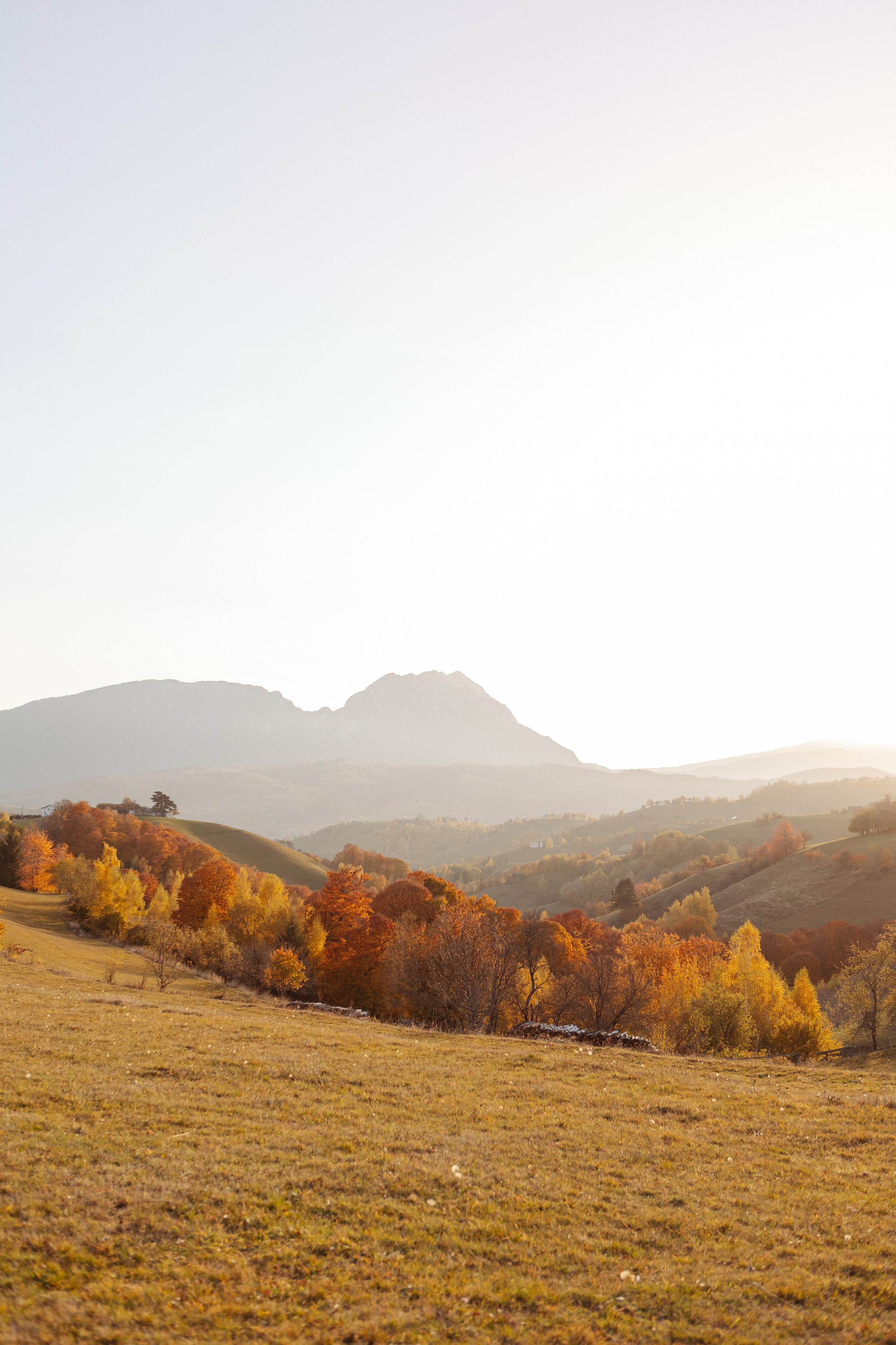 Ioana & Gigi. Cristina Andronache fotograf Brașov fotograf de familie fotograf de nunta Brașov