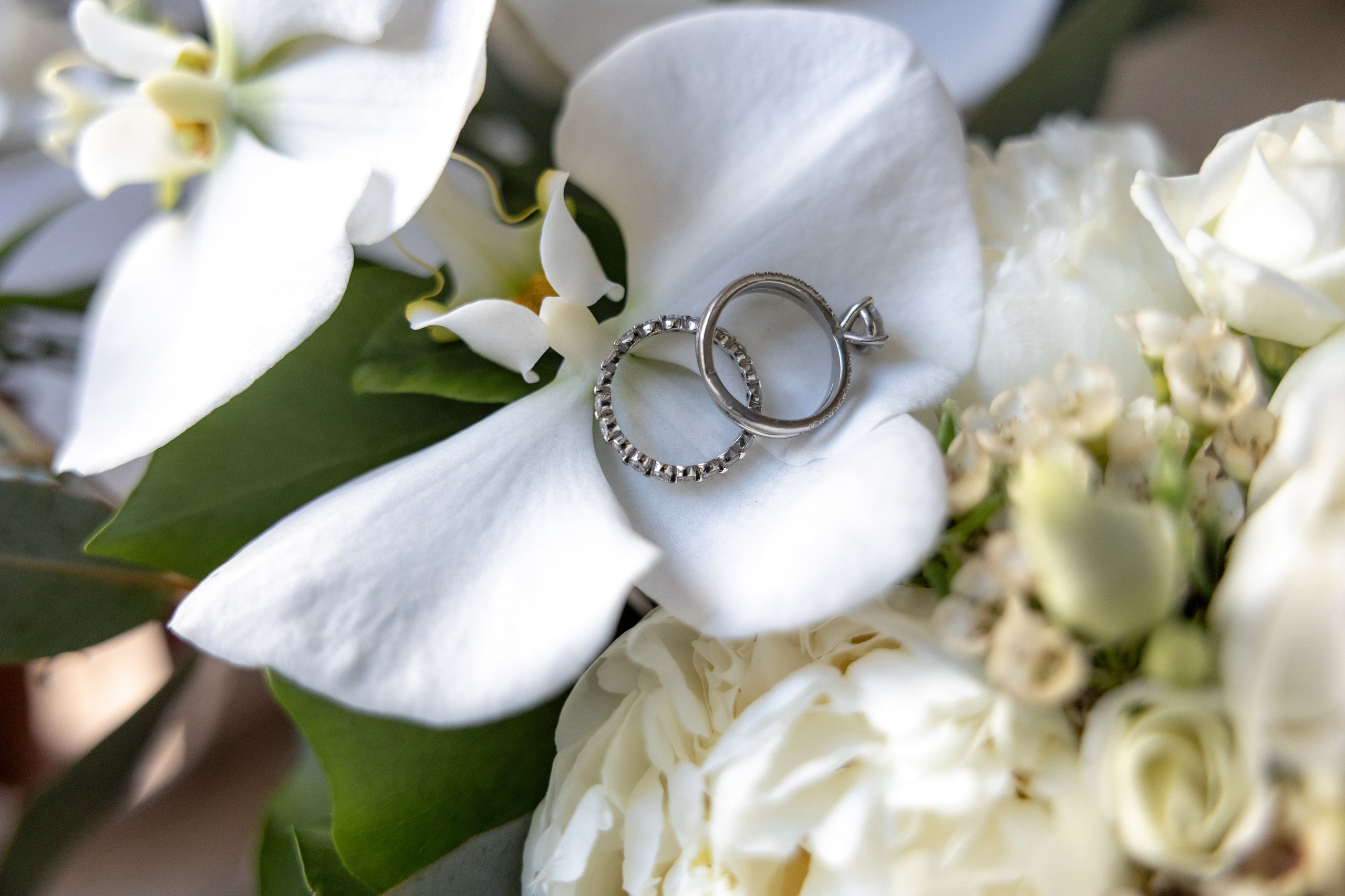 Elopement near Saint-Cirq-Lapopie. Crystal&Robert. Евгения Смирнова — фотограф в Тулузе и юго-западной Франции