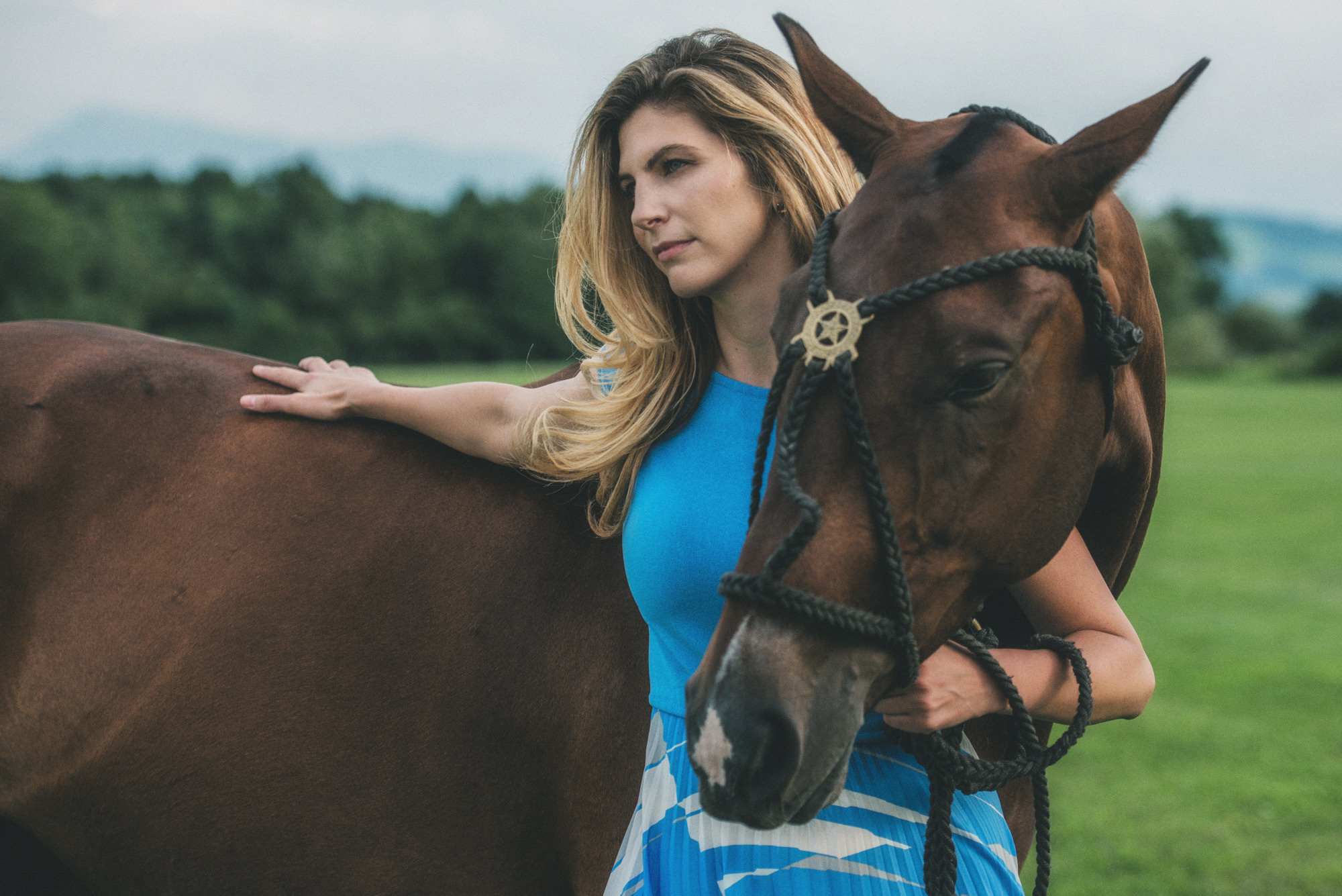 Photo shoot with horses