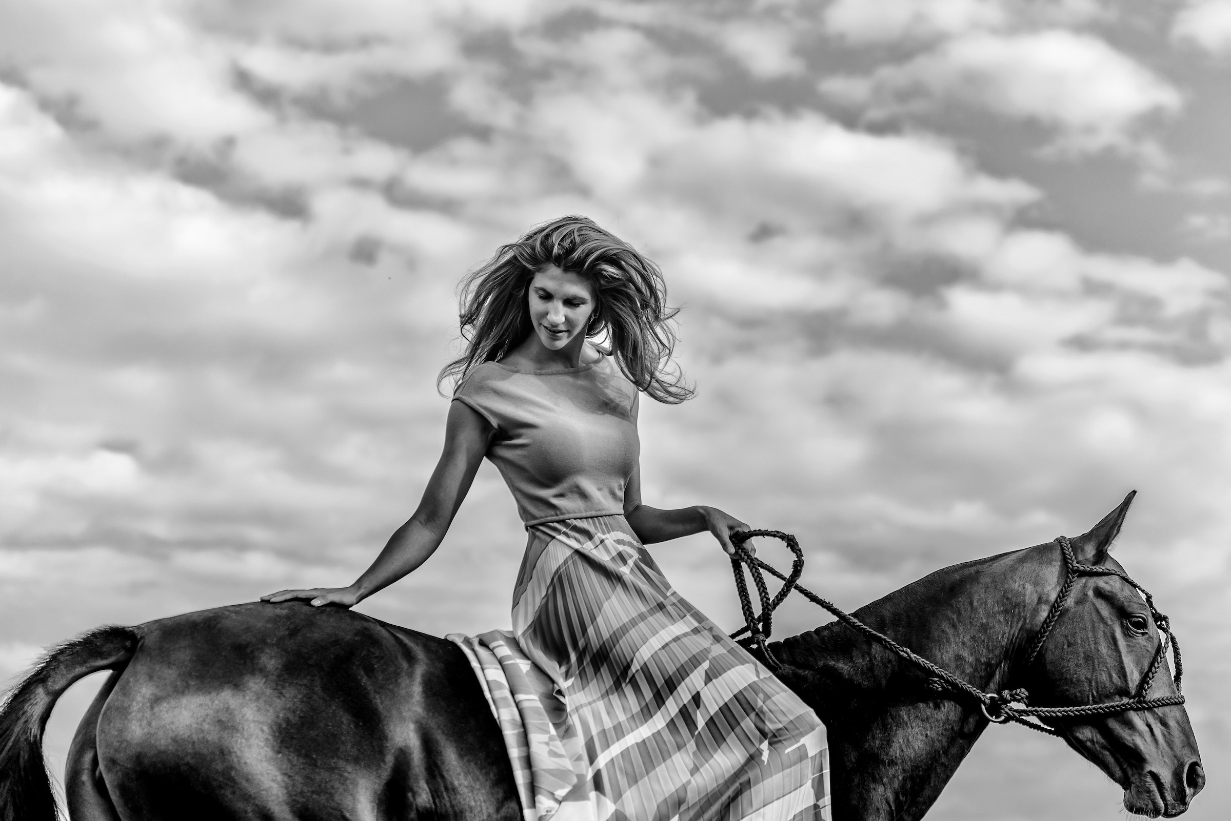 Photo shoot with horses