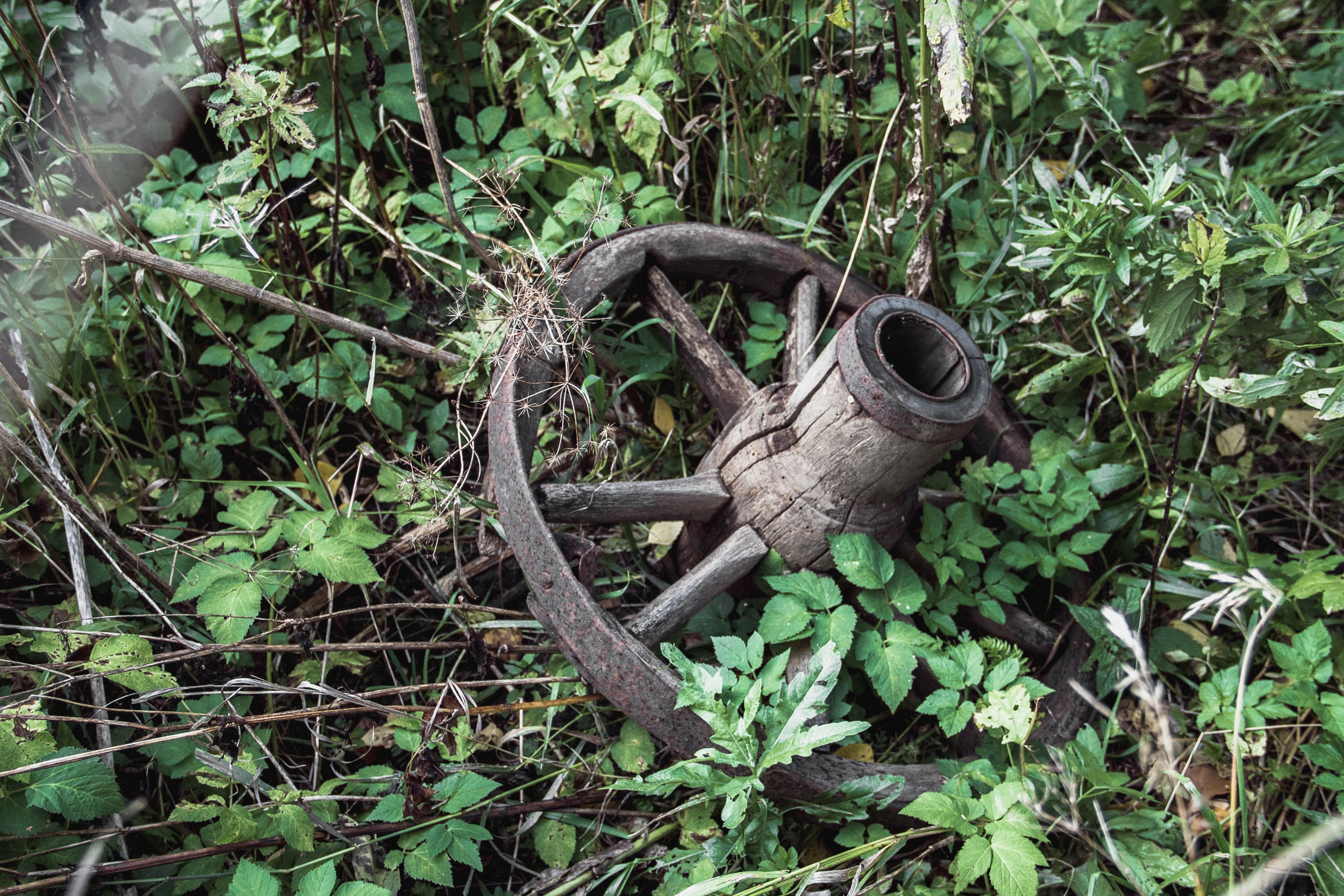 Заброшенная Россия: Мантурово. Фотограф в Германии — Мария Чистякова