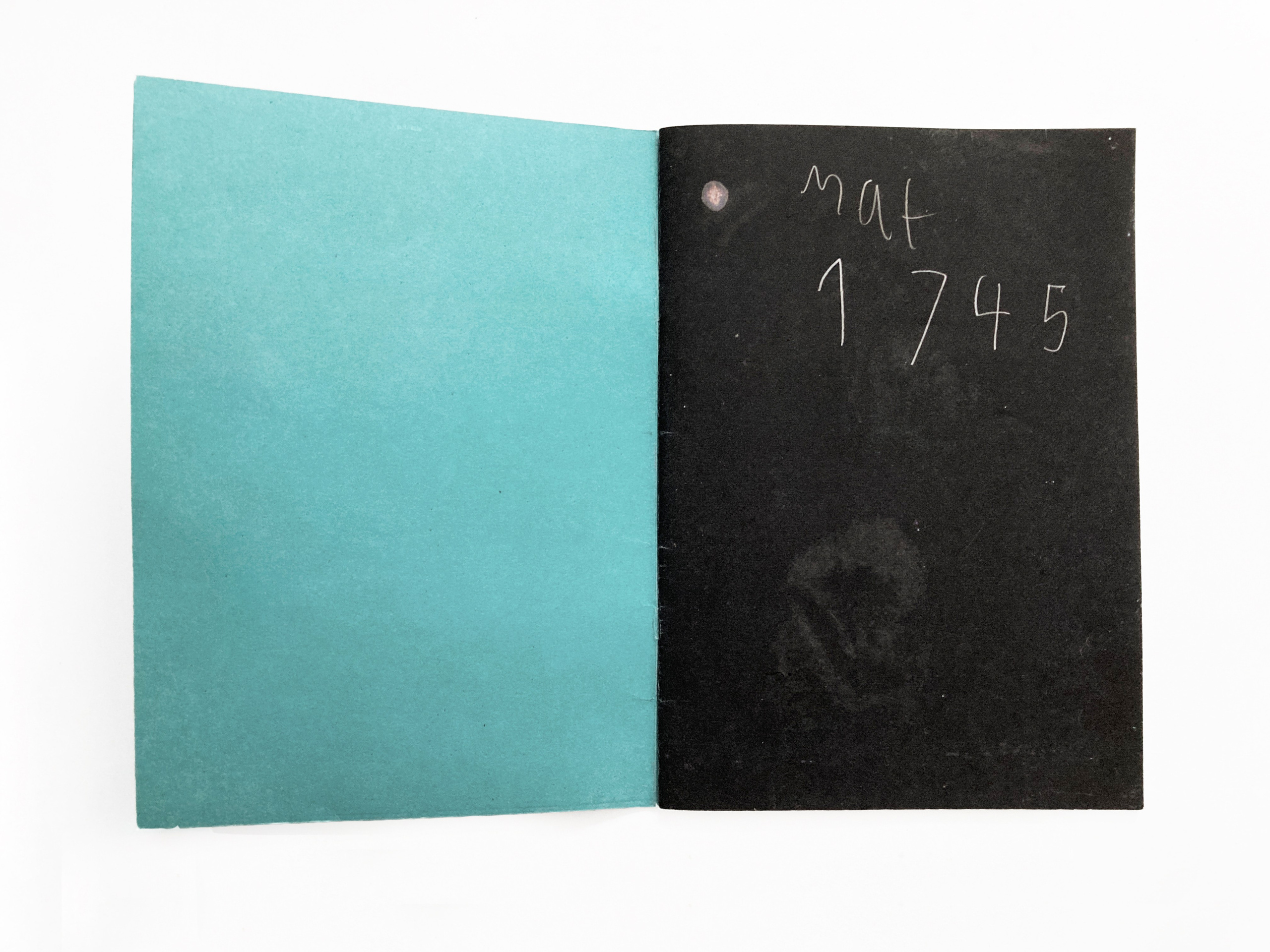 Fly in Amber. Sveta Kaverina