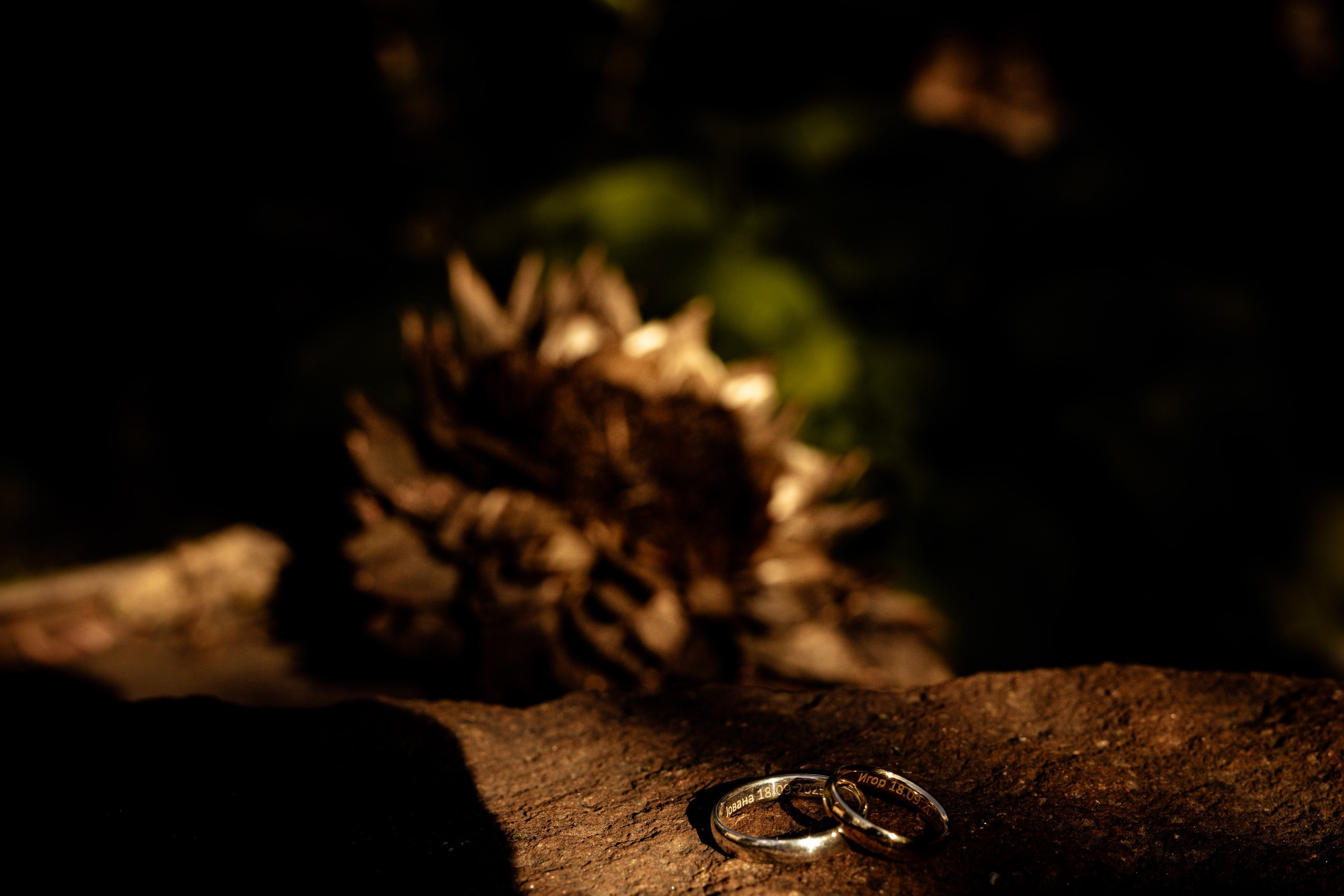 Jovana & Igor. Marko Tucić Photography | Fotograf Zrenjanin