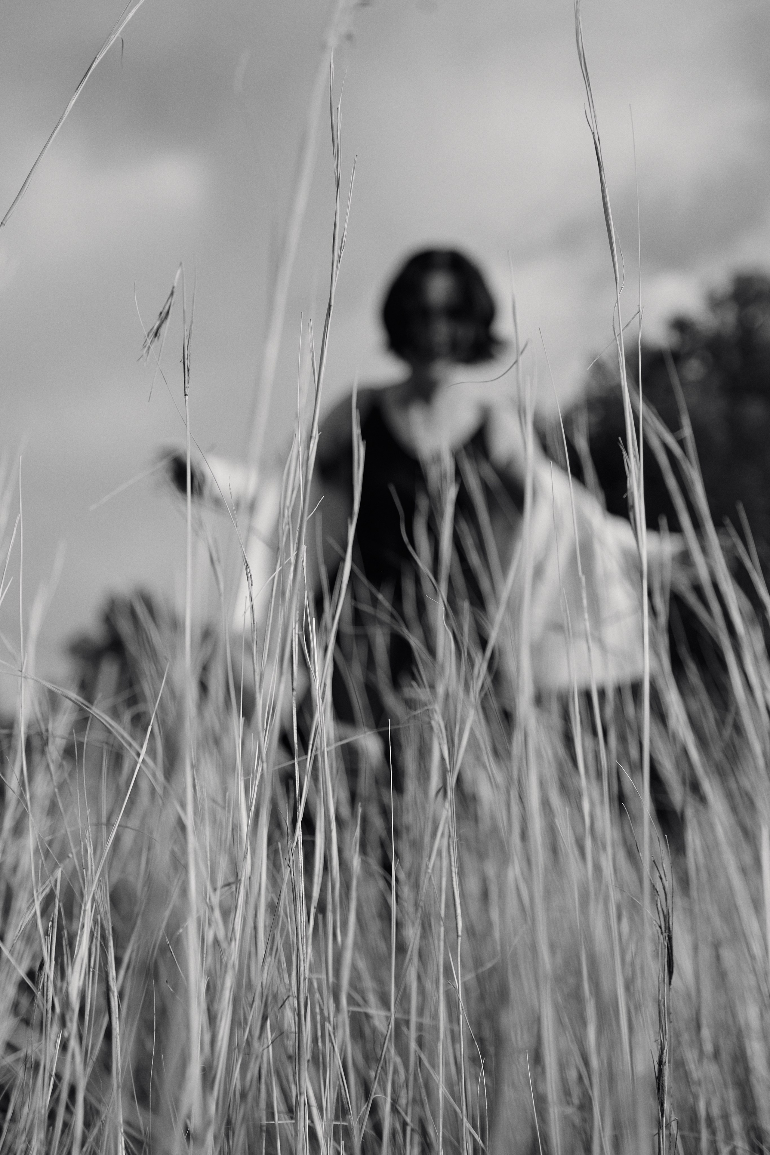 Anastasia. PÁGINA PRINCIPAL