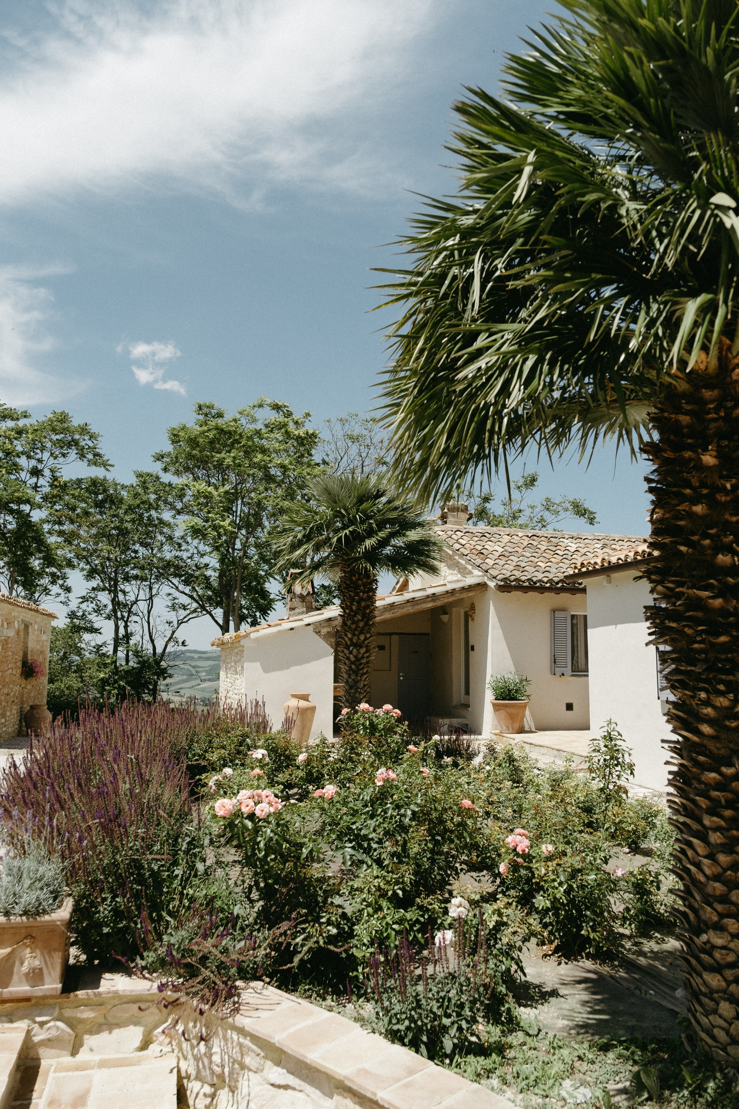 Sofia&Falk. Wedding photographer Italy