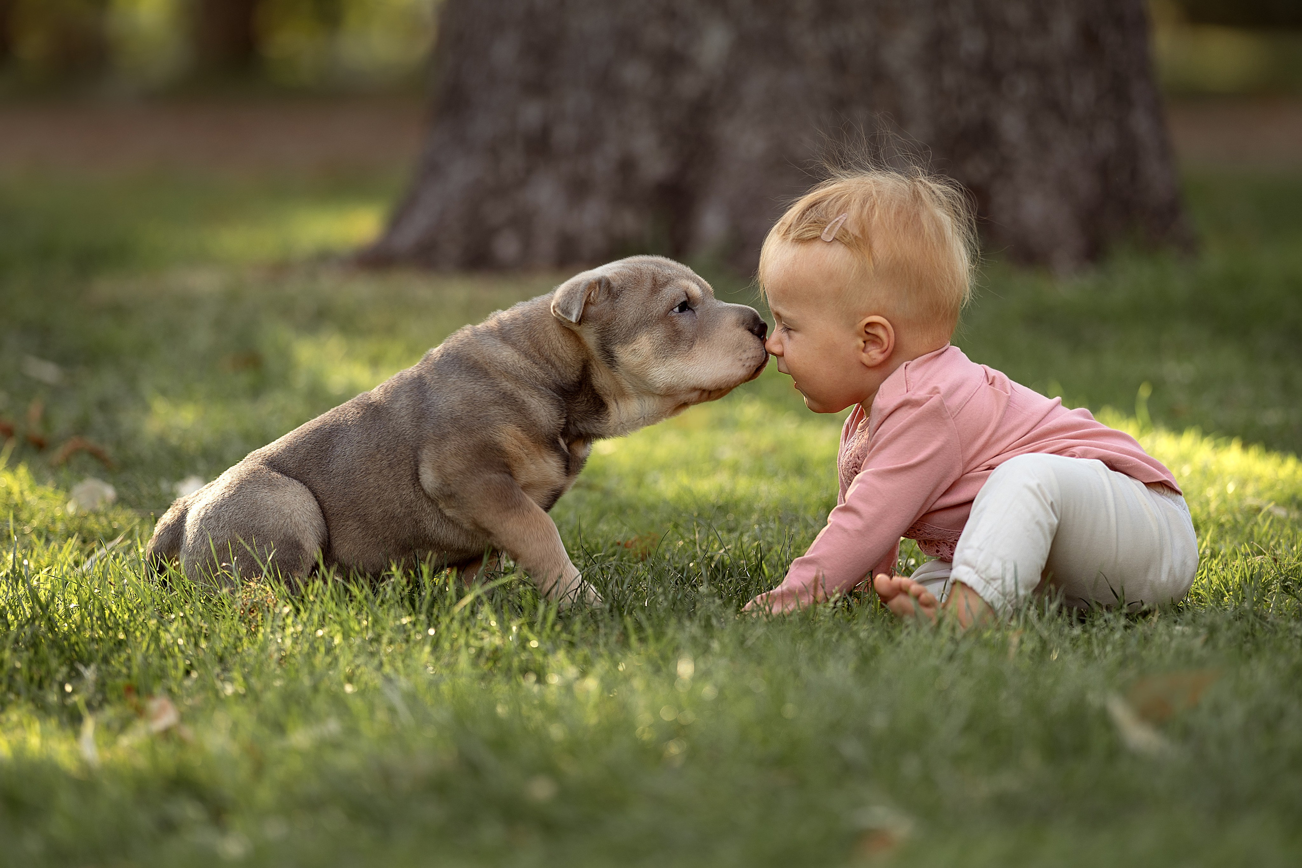 OPINIONES. Fotógrafo Madrid. España. Elena Lukicheva