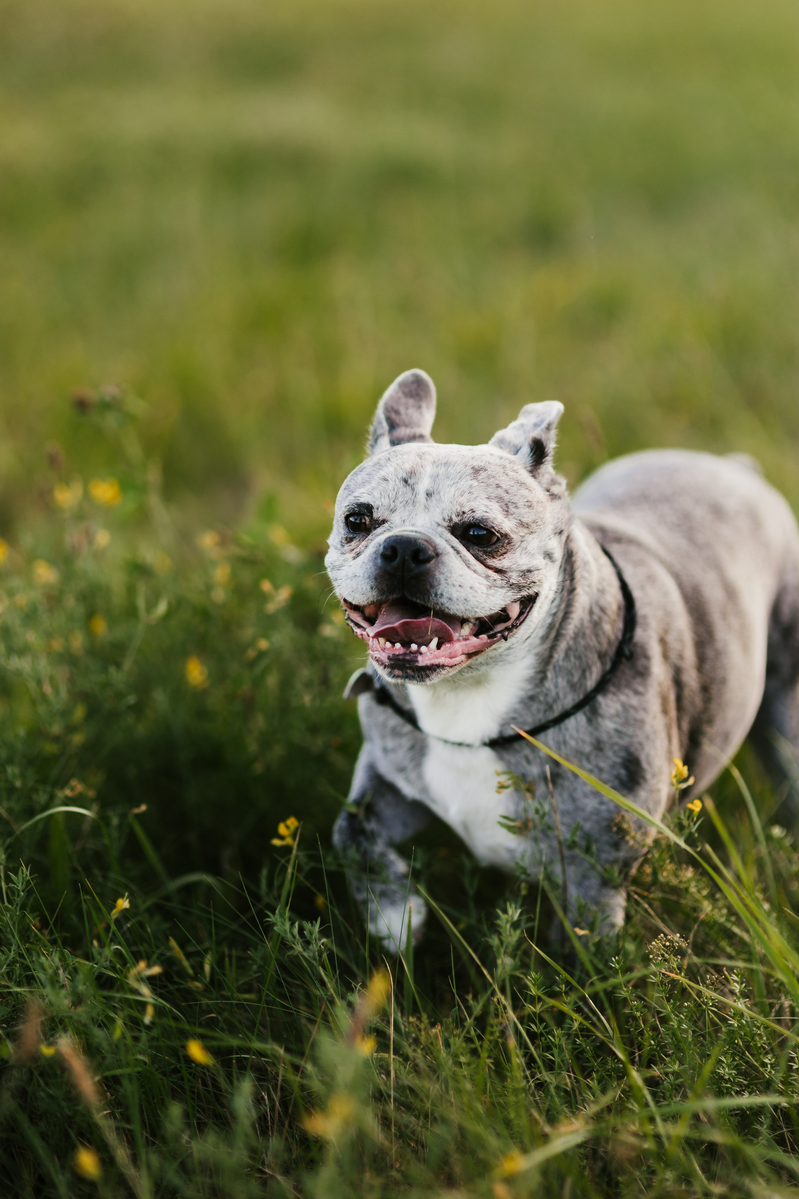 Rodina. Fotografka Andrea Hlaváčová / Karlovarský kraj / Karlovy Vary Sokolov
