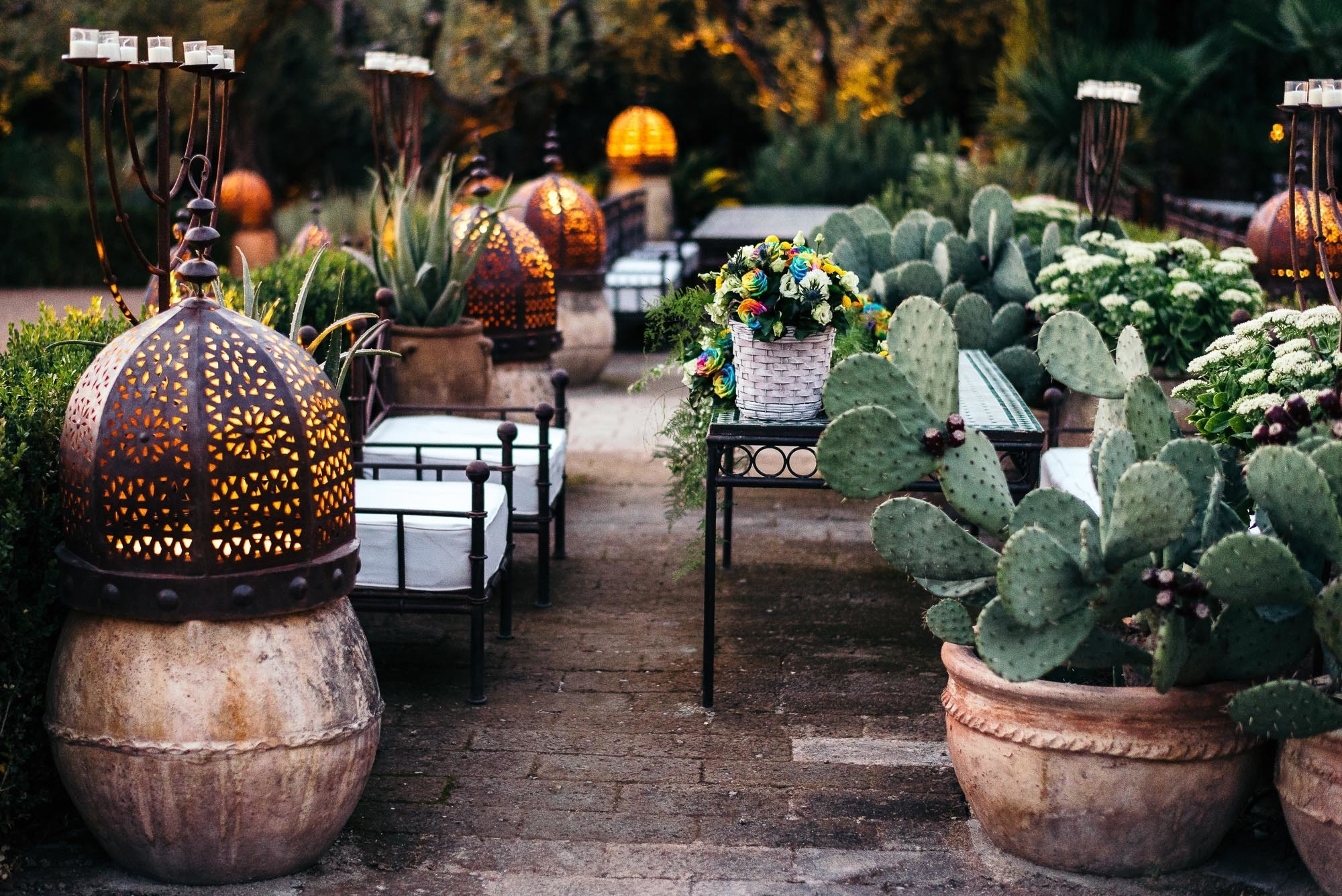 tenuta cipressi e olivi, Cavaion Veronese