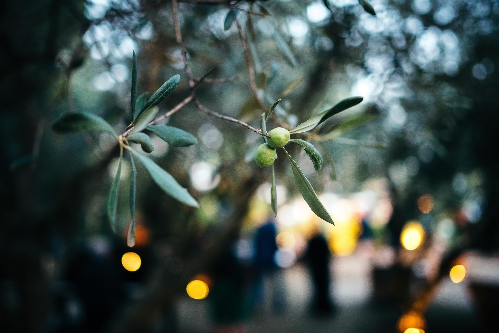 E+G| Fotografo matrimonio LGBT Bussolengo, Verona